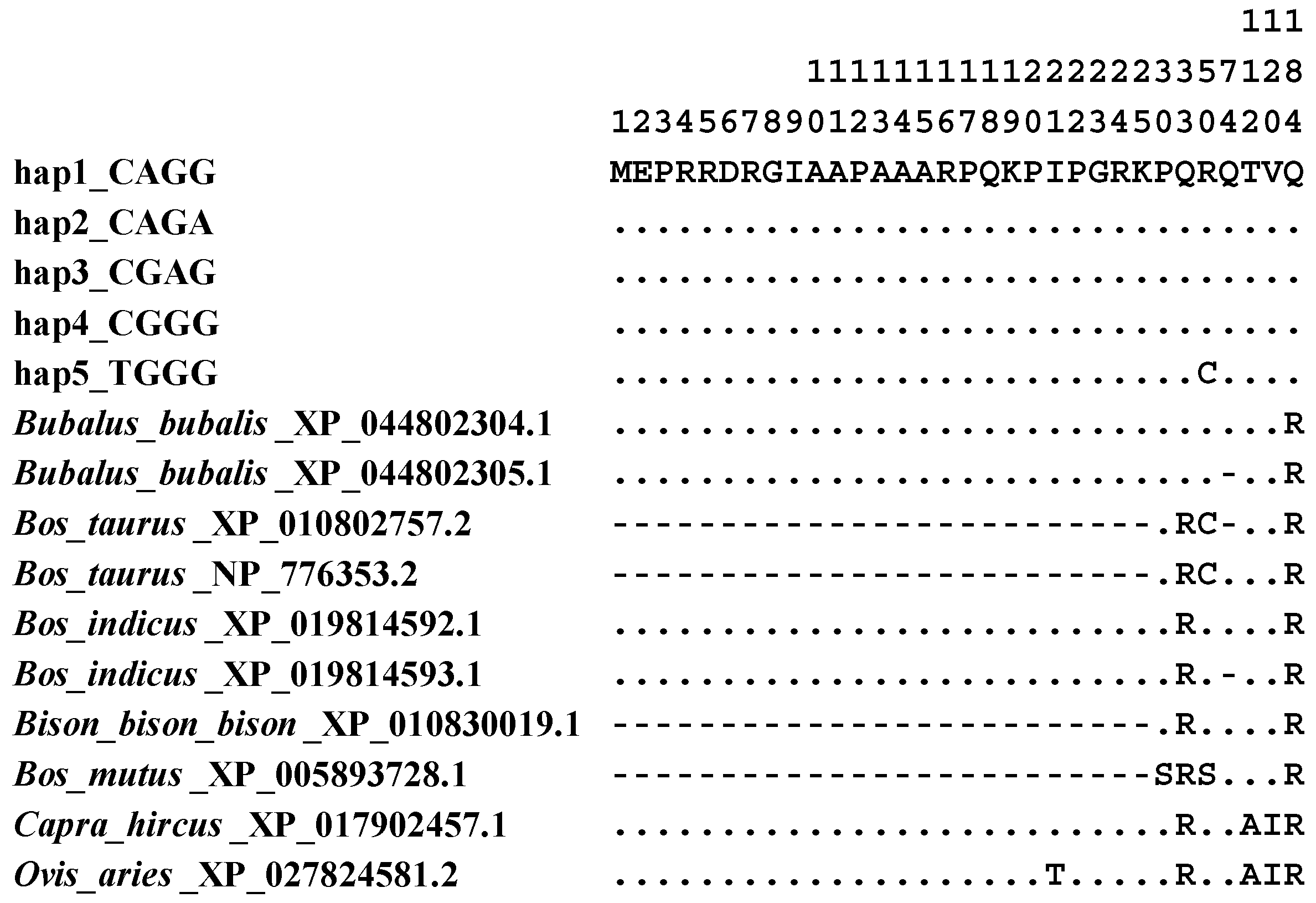 Animals 14 02446 g011