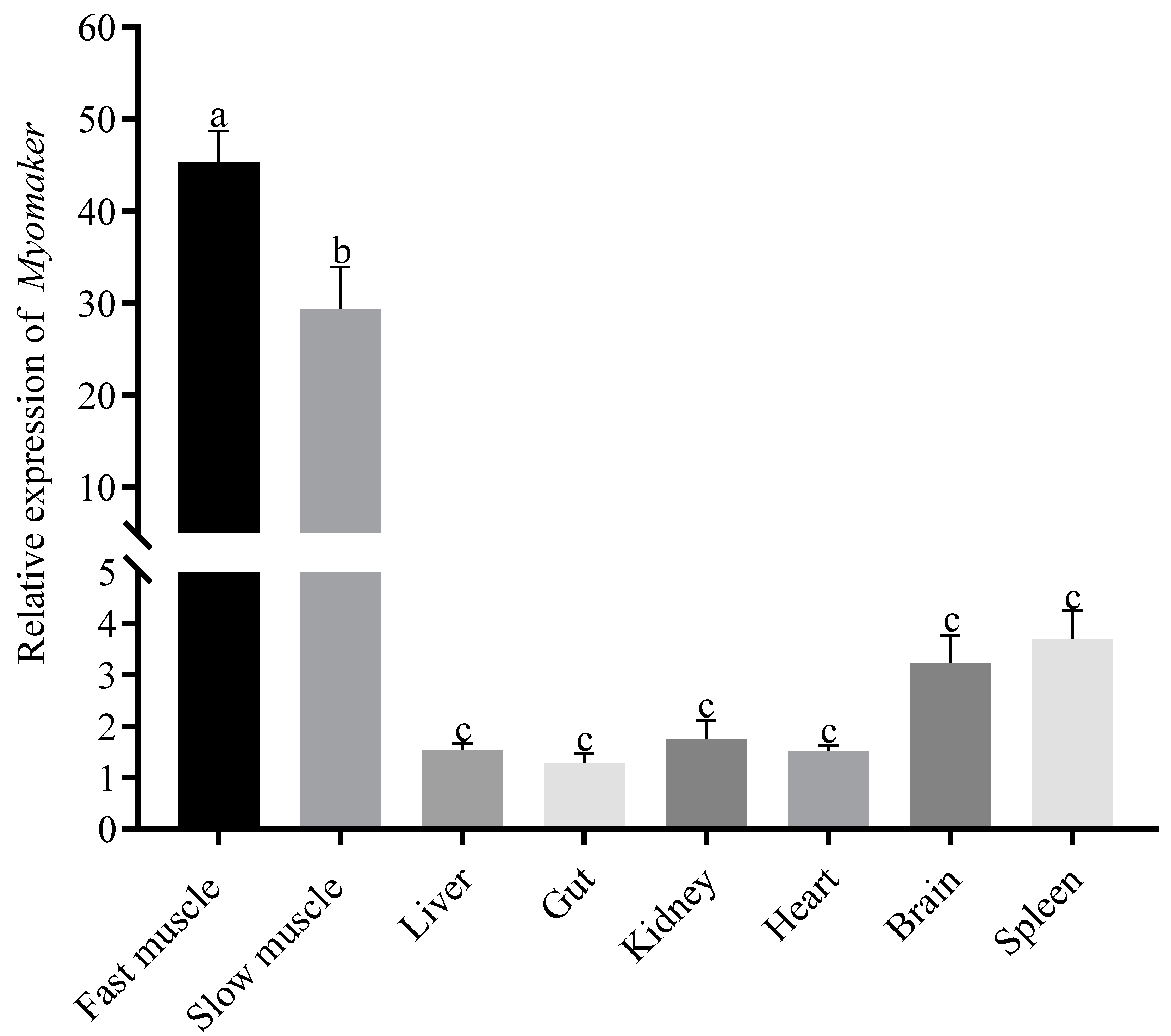 Animals 14 02448 g002