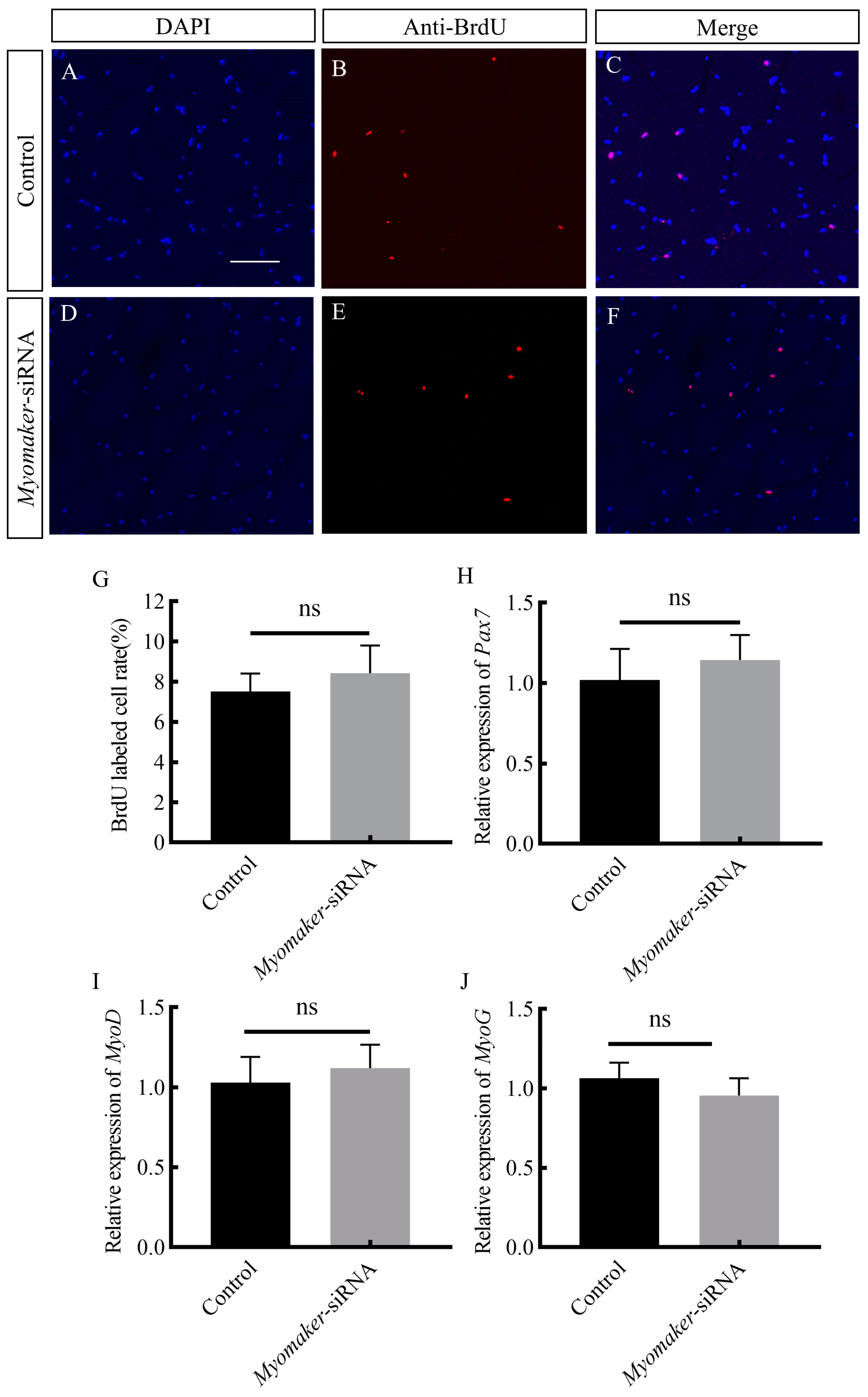 Animals 14 02448 g006