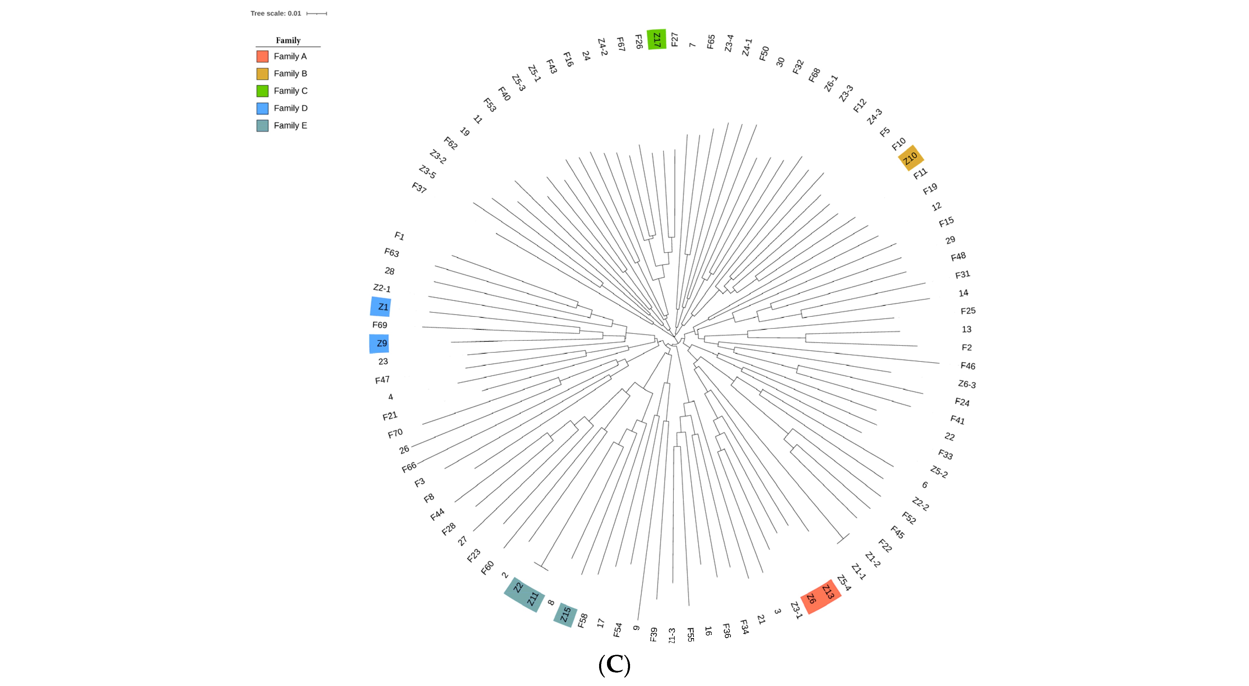 Animals 14 02449 g001b