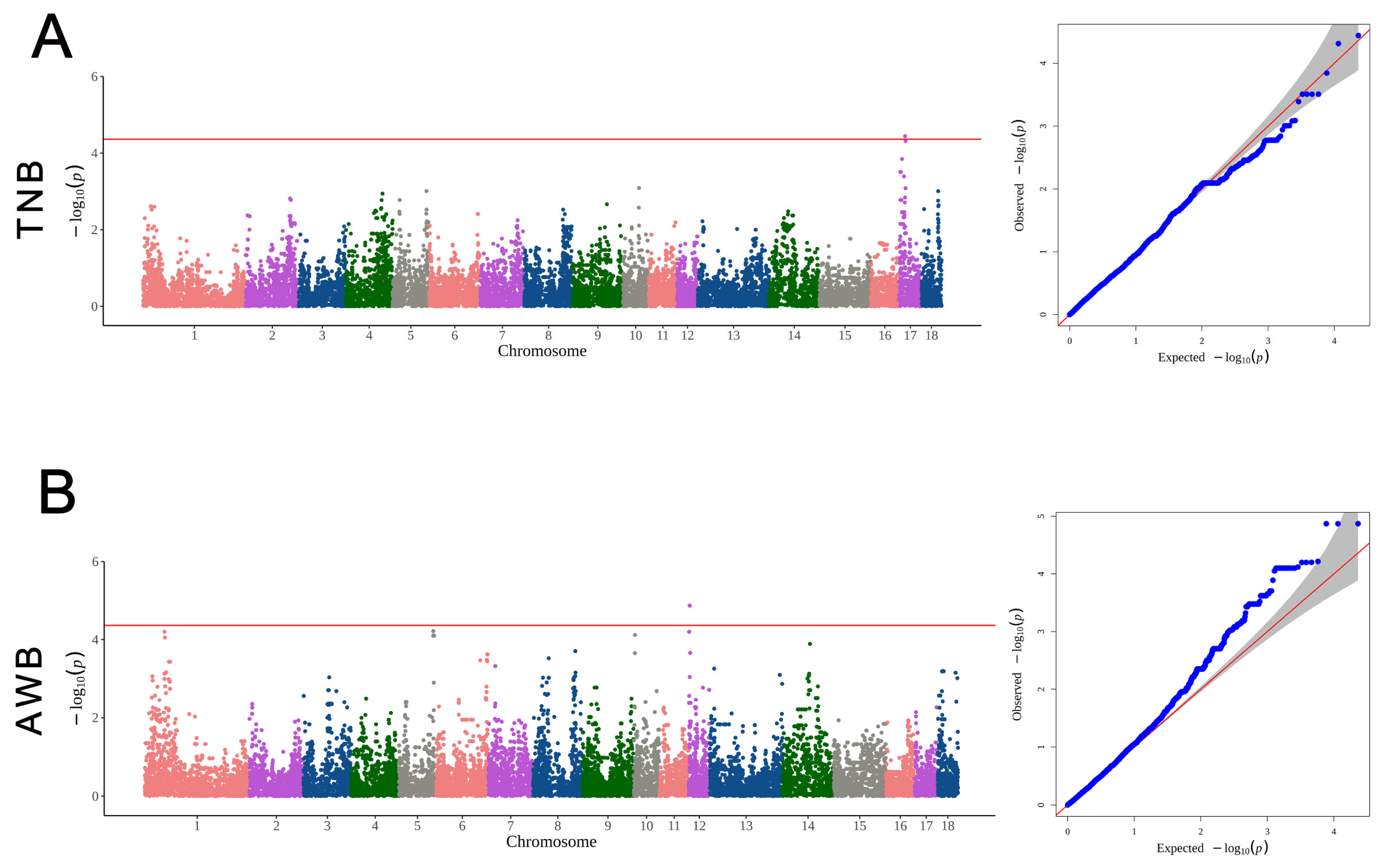 Animals 14 02449 g005