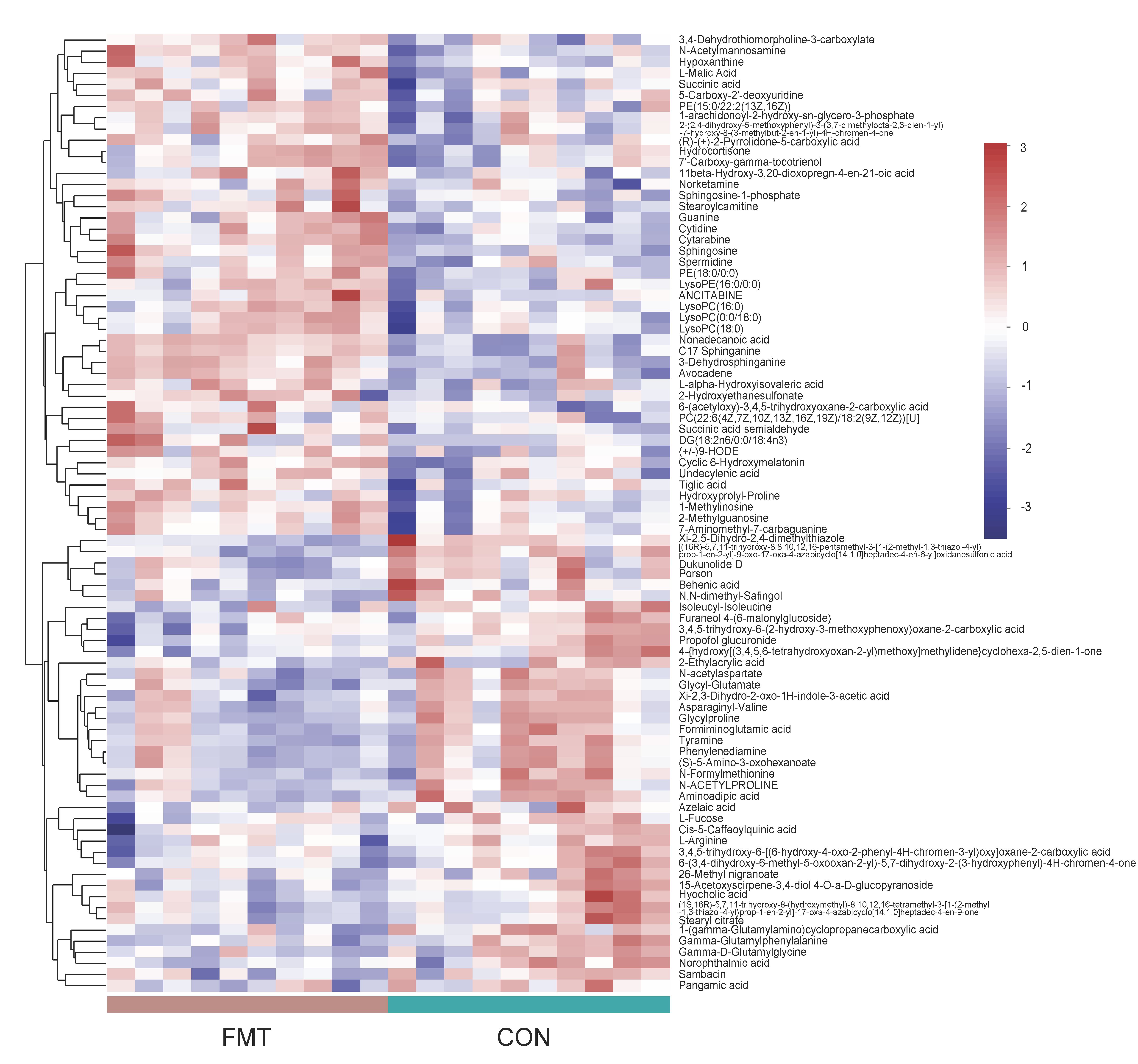 Animals 14 02450 g003