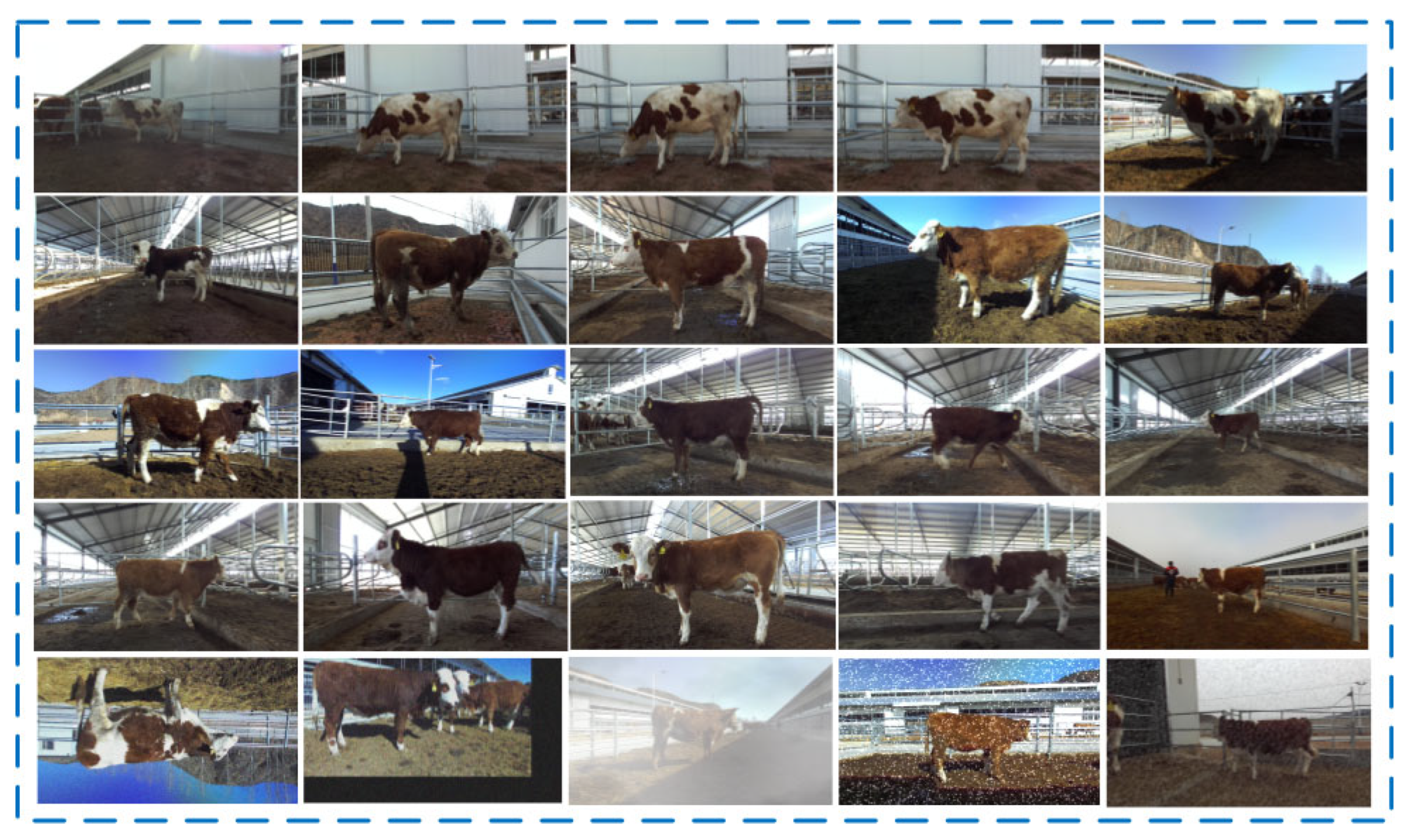 Animals 14 02453 g002 Animals 14 02453 g002