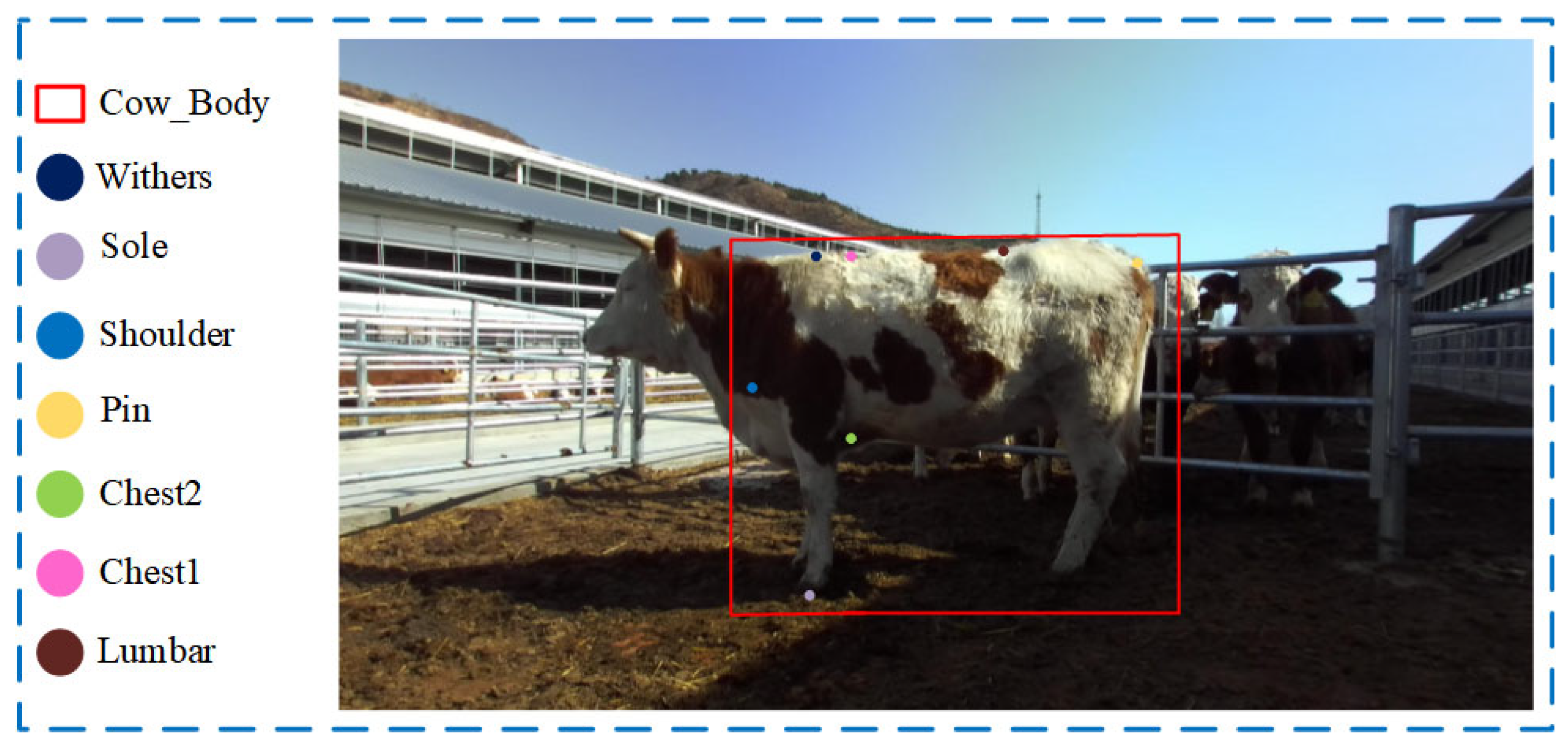 Animals 14 02453 g003 Animals 14 02453 g003