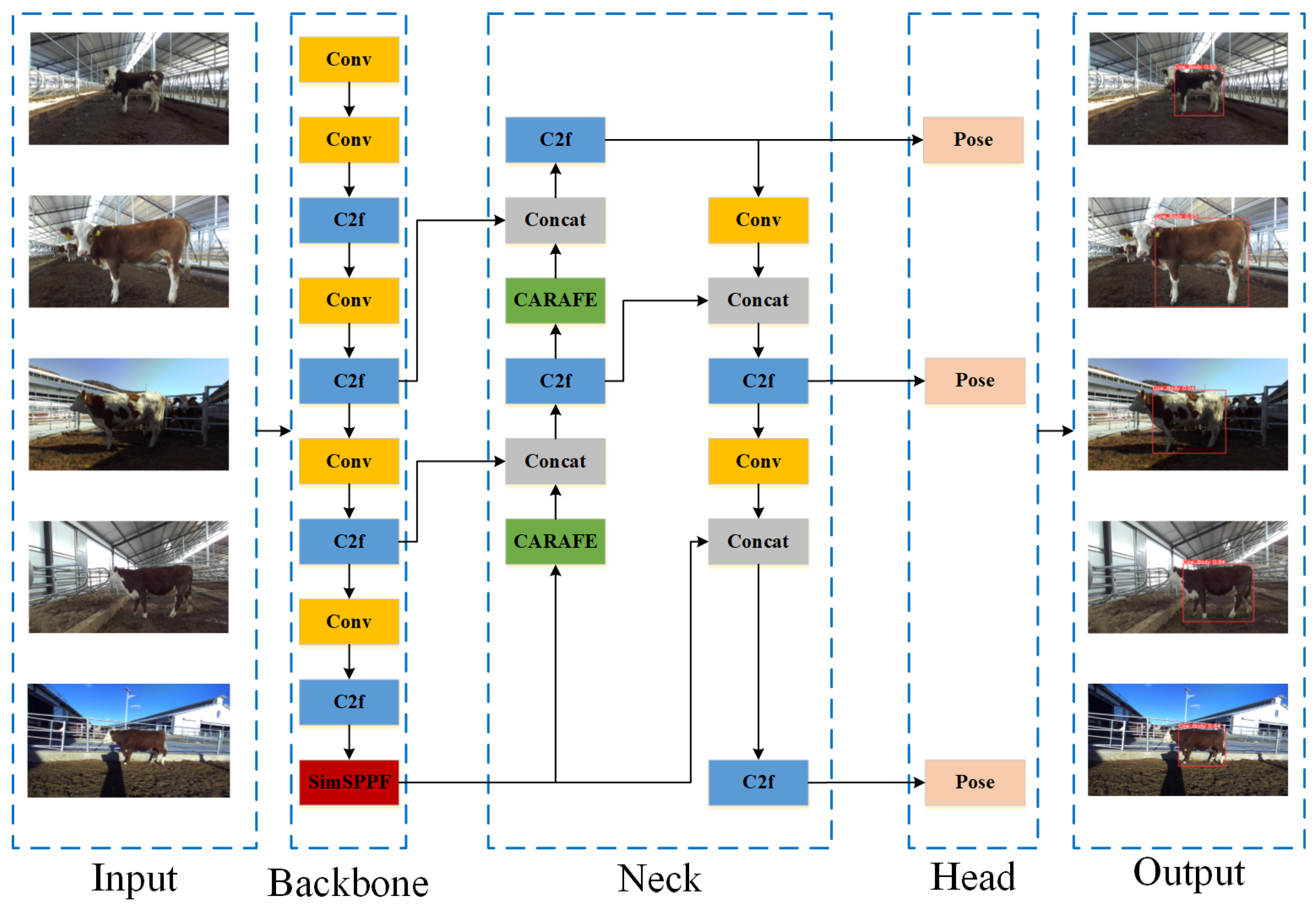 Animals 14 02453 g007 Animals 14 02453 g007