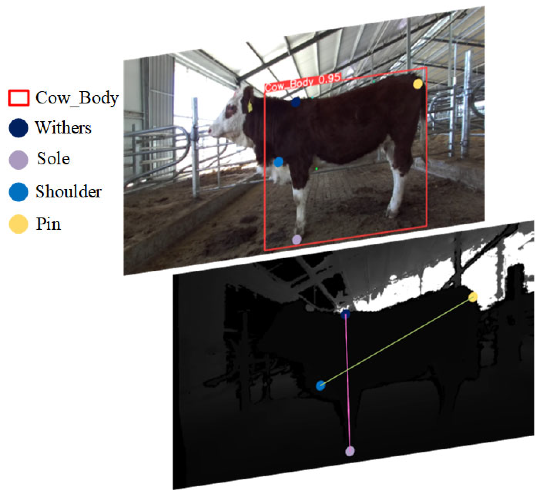 Animals 14 02453 g009 Animals 14 02453 g009