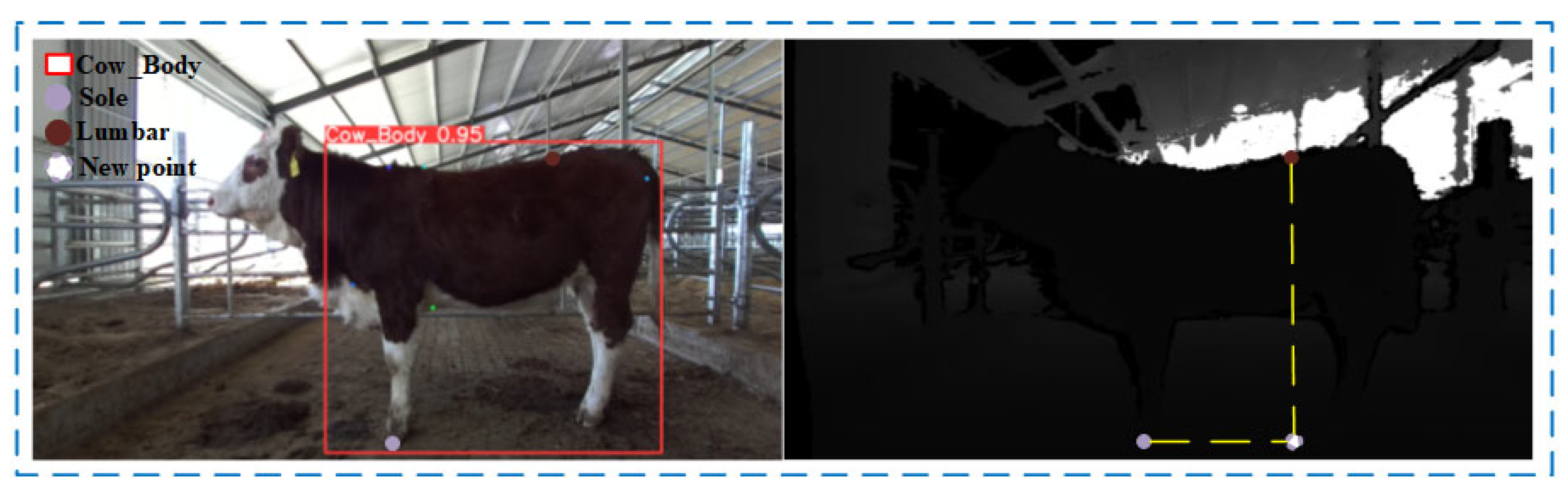 Animals 14 02453 g010 Animals 14 02453 g010