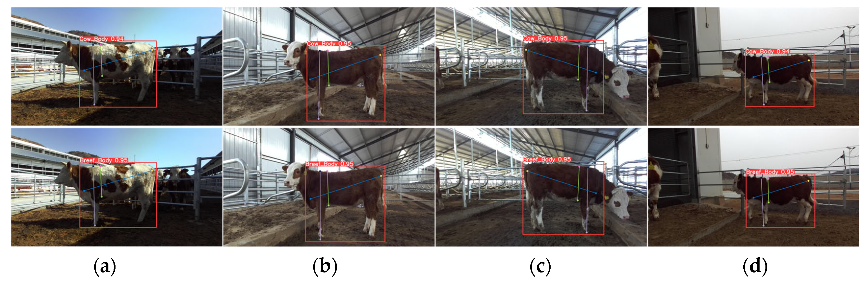 Animals 14 02453 g012 Animals 14 02453 g012