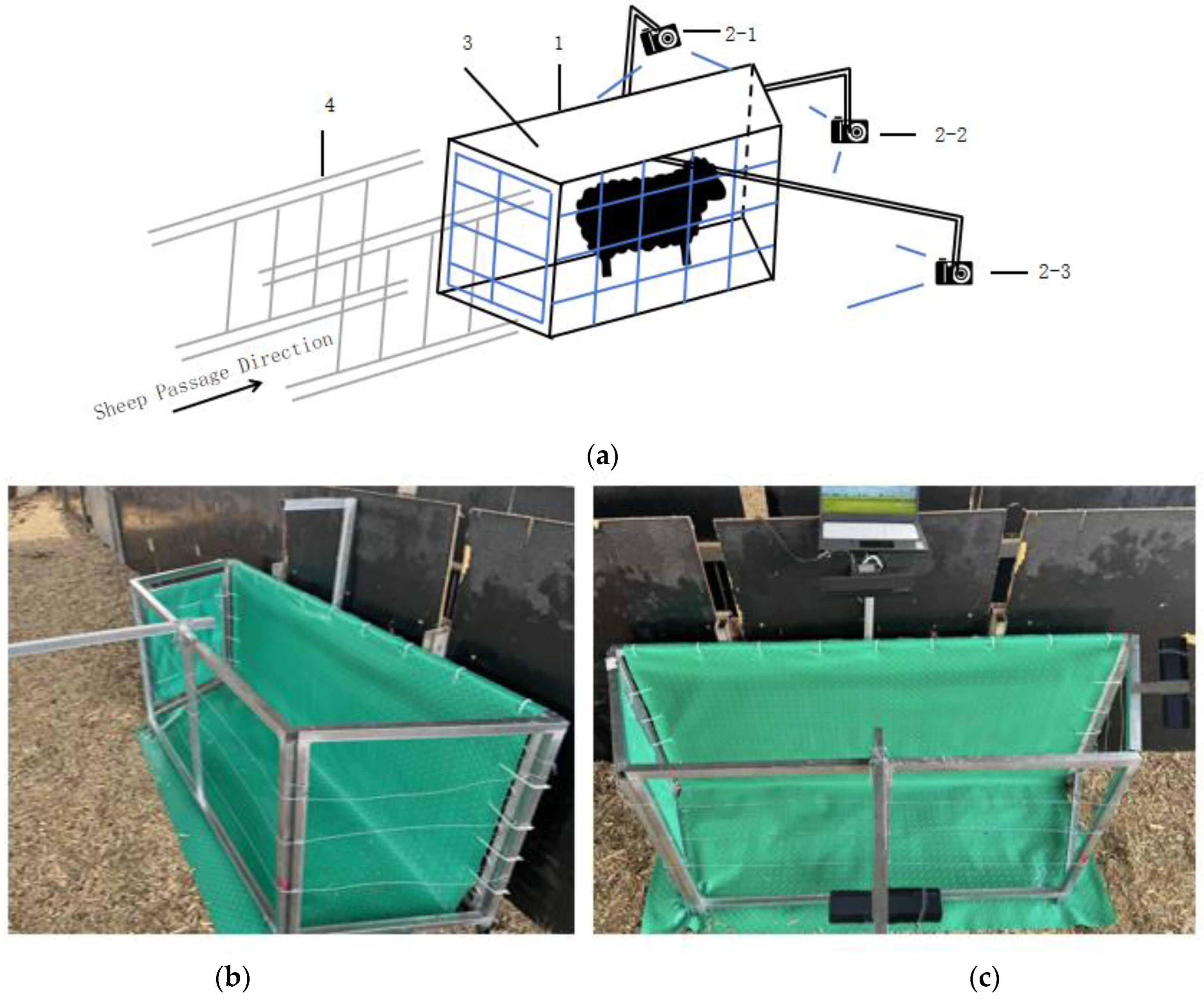 Animals 14 02457 g001