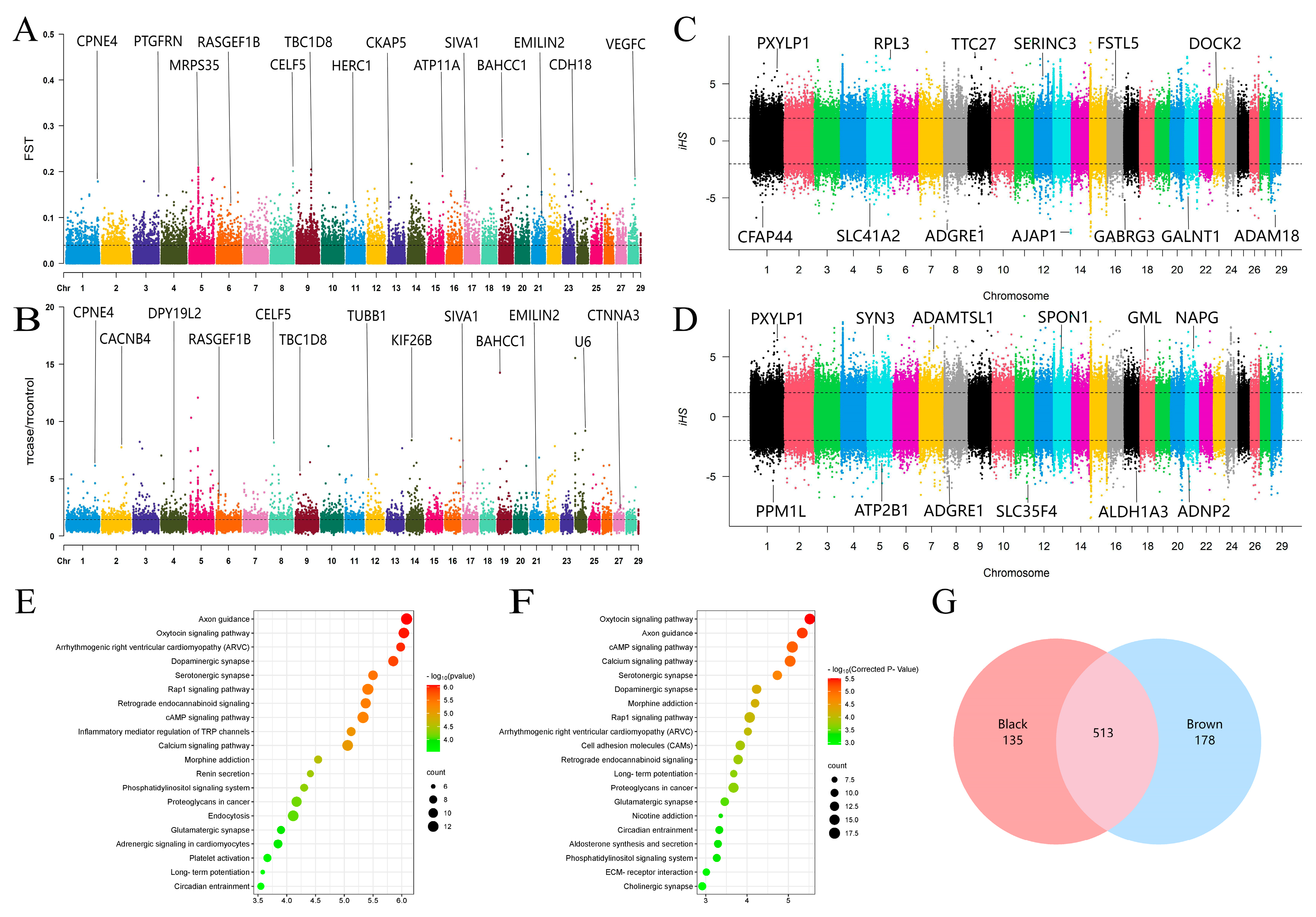 Animals 14 02458 g002 Animals 14 02458 g002