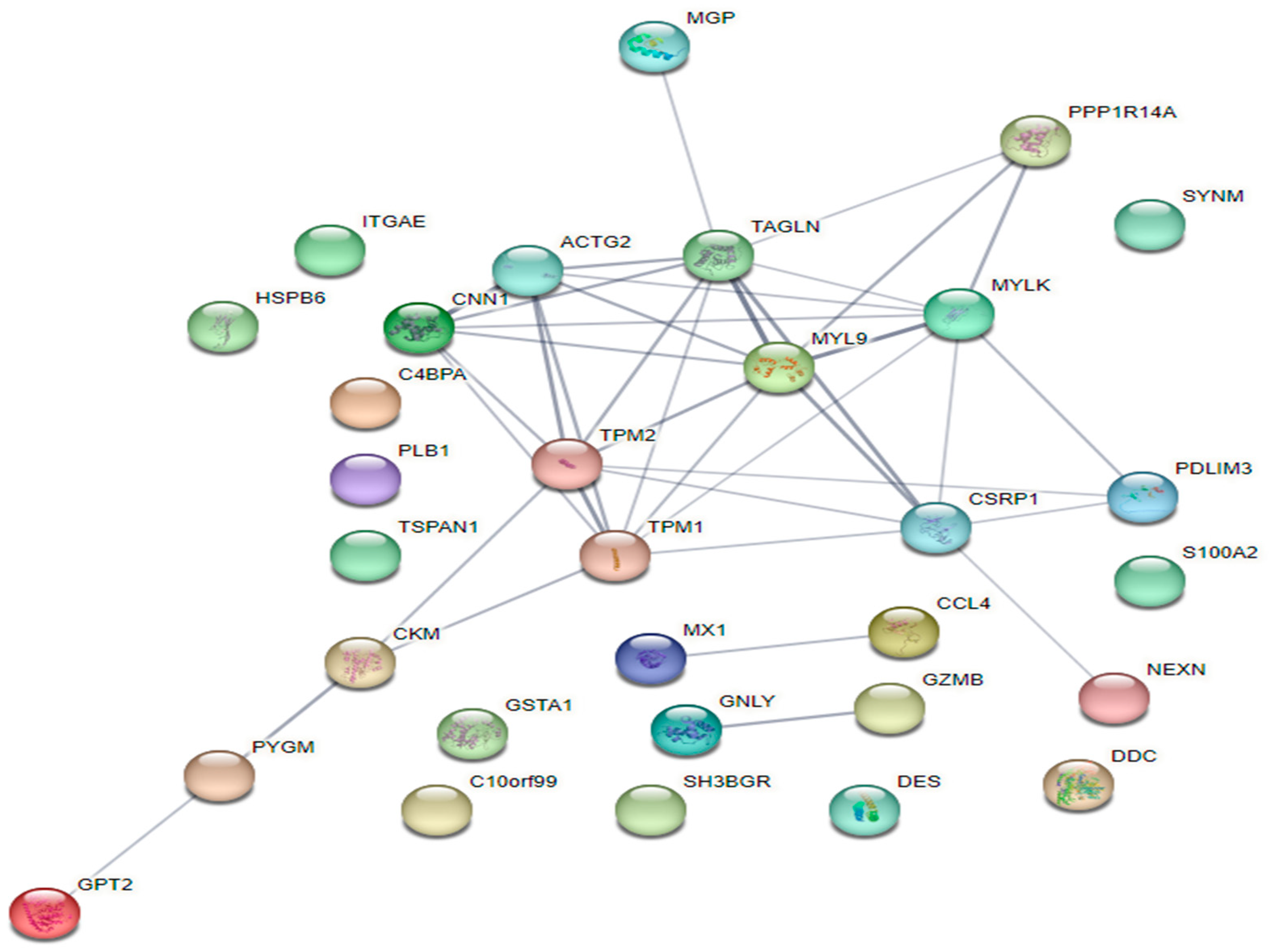 Animals 14 02476 g002