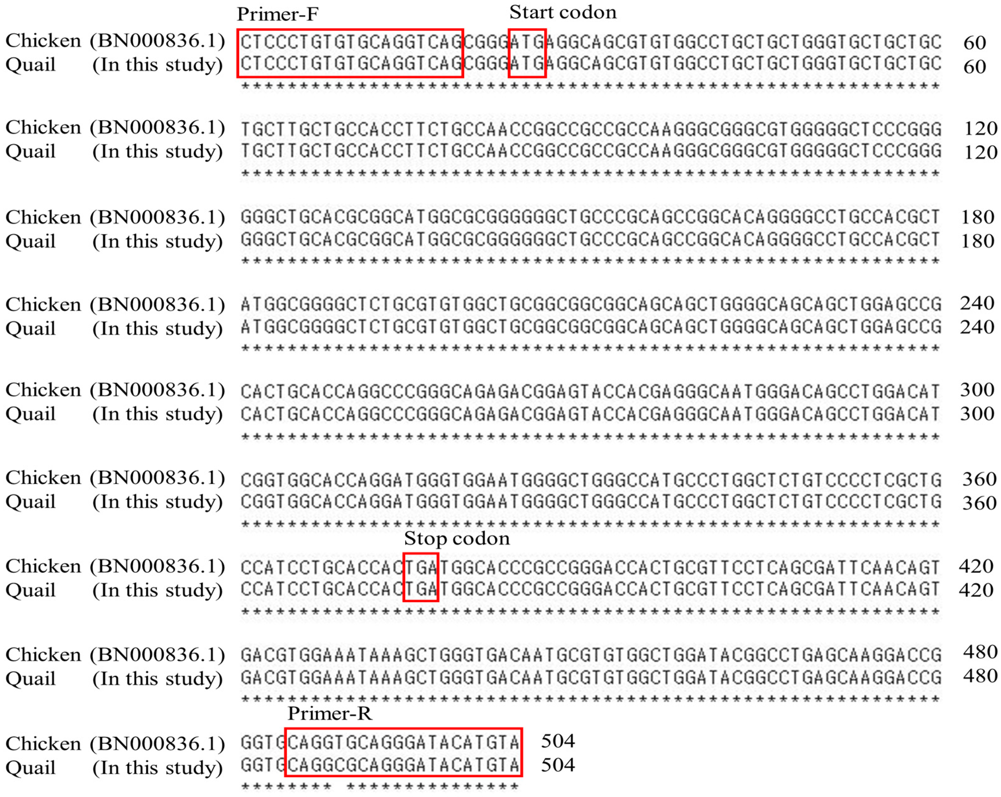 Animals 14 02481 g001