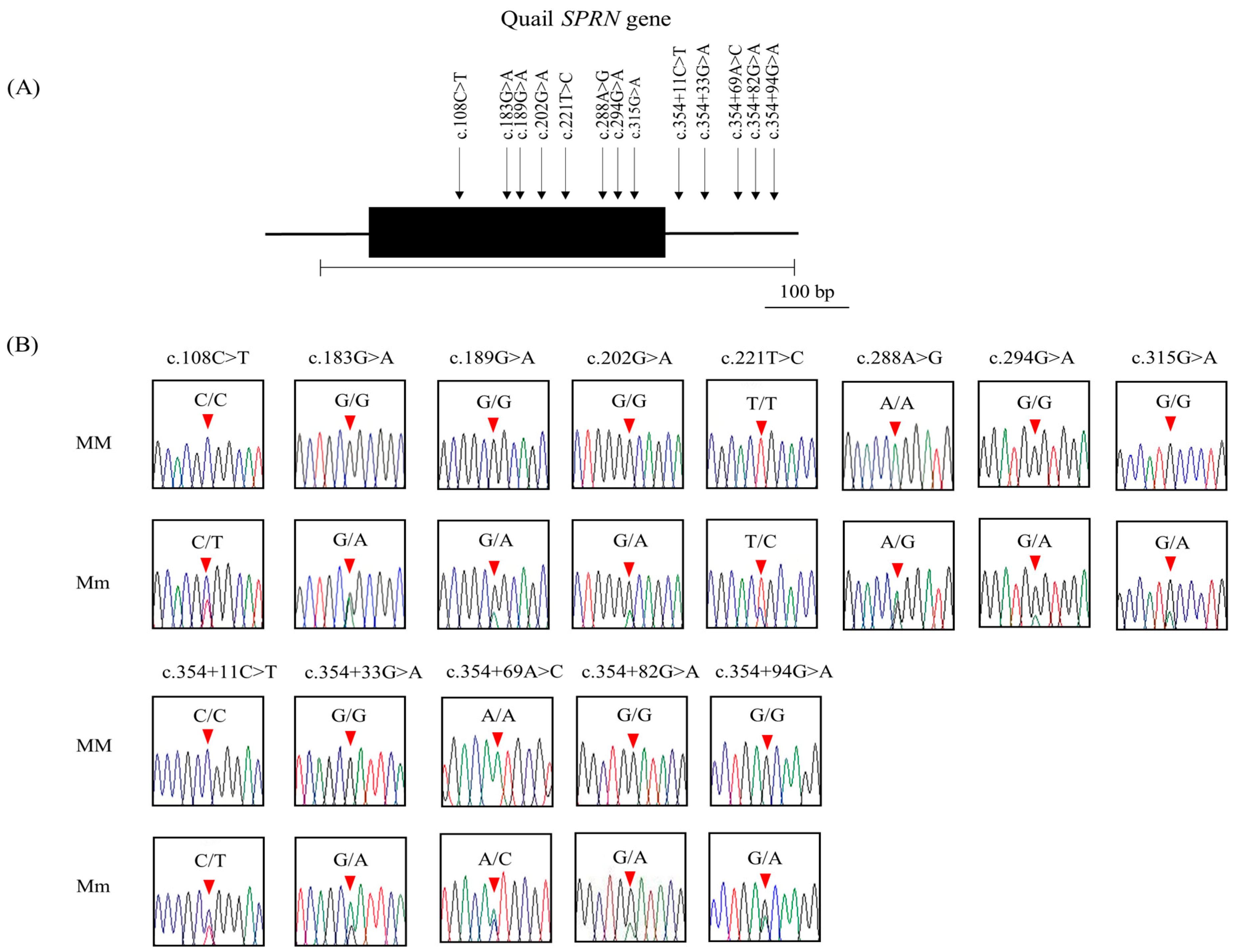 Animals 14 02481 g002