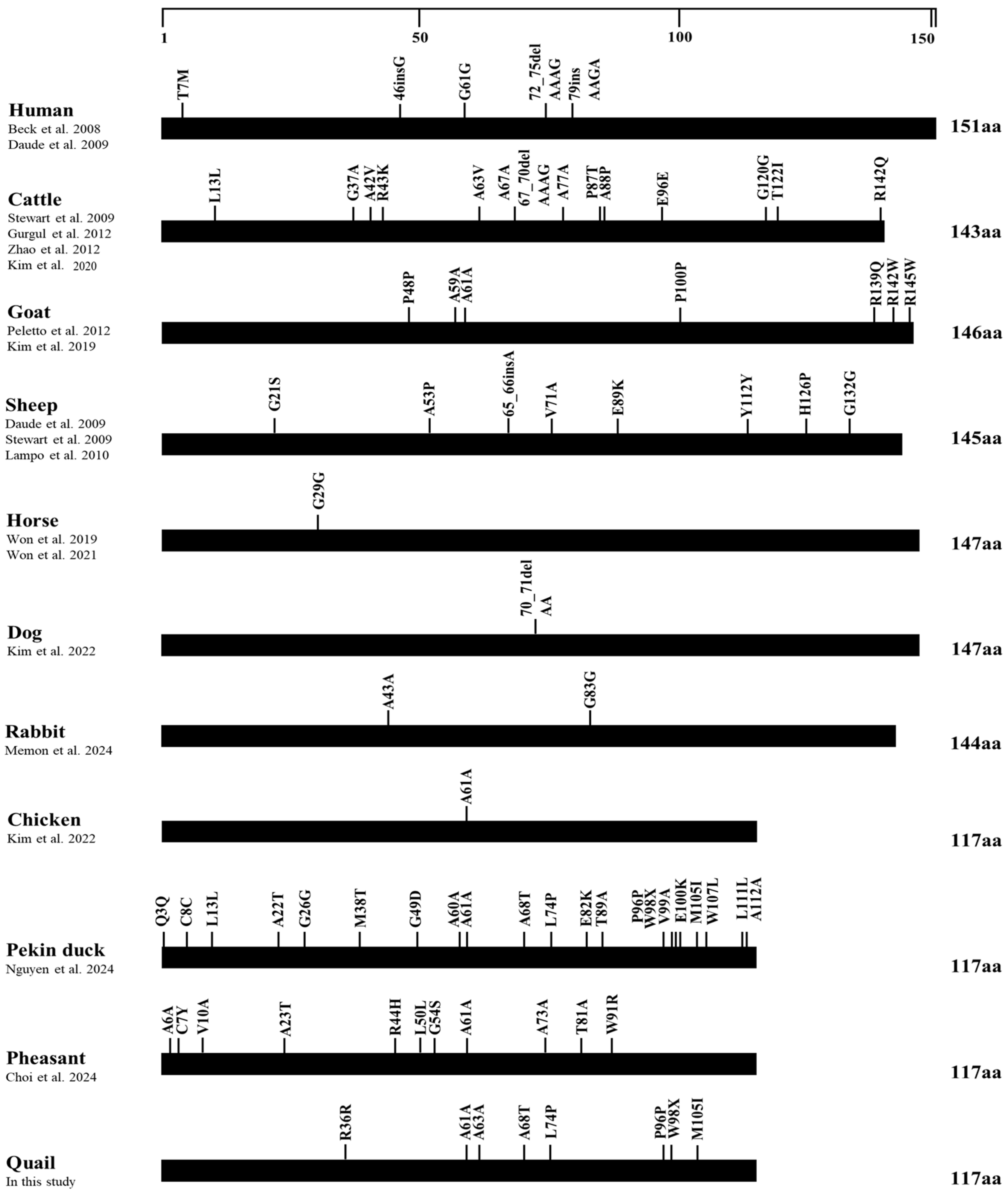 Animals 14 02481 g003