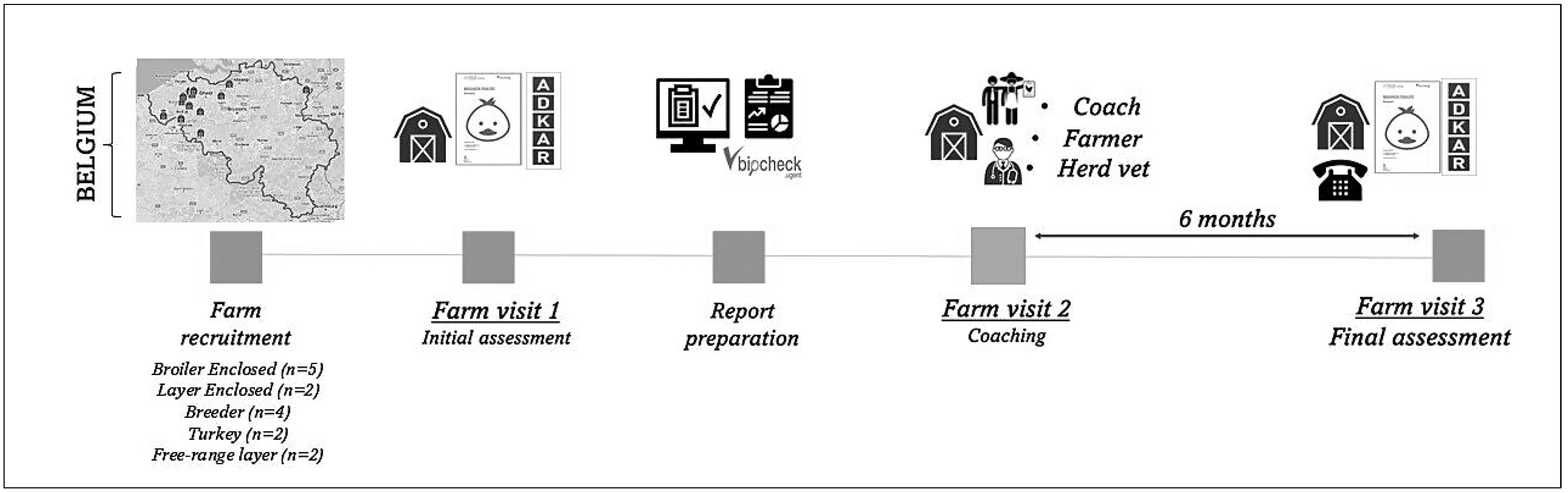 Animals 14 02498 g001 Animals 14 02498 g001