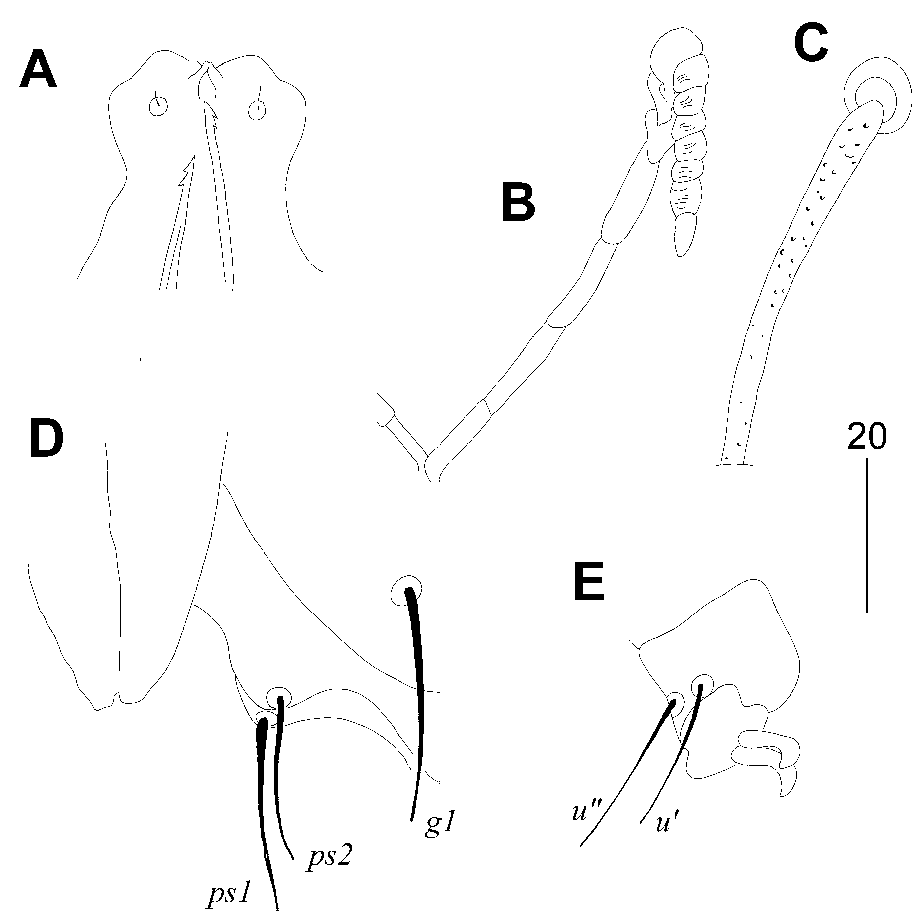 Animals 14 02517 g002