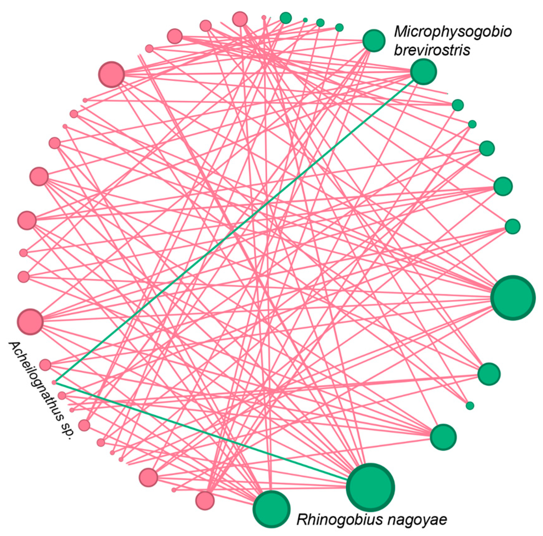 Animals 14 02532 g005