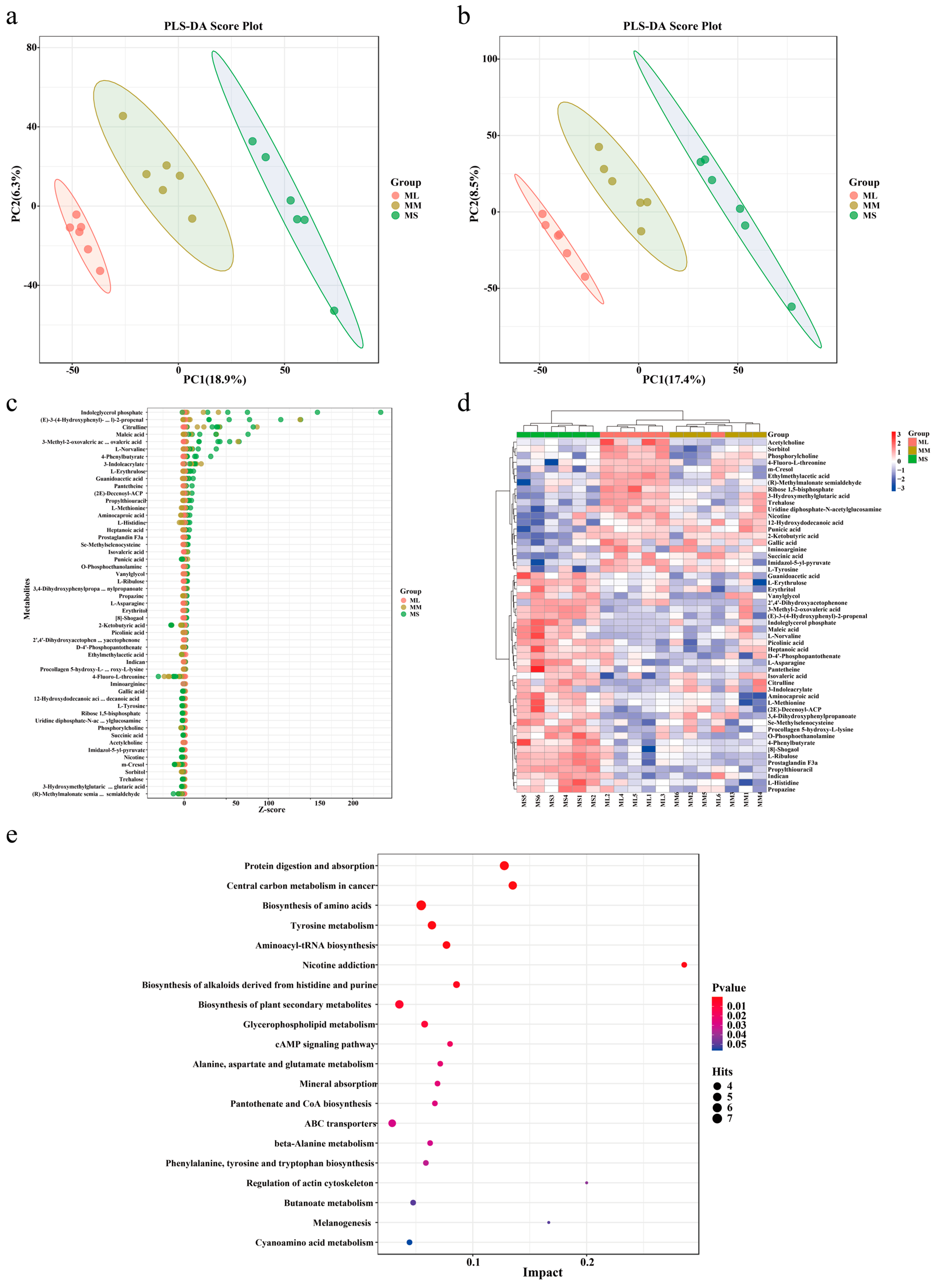 Animals 14 02539 g003