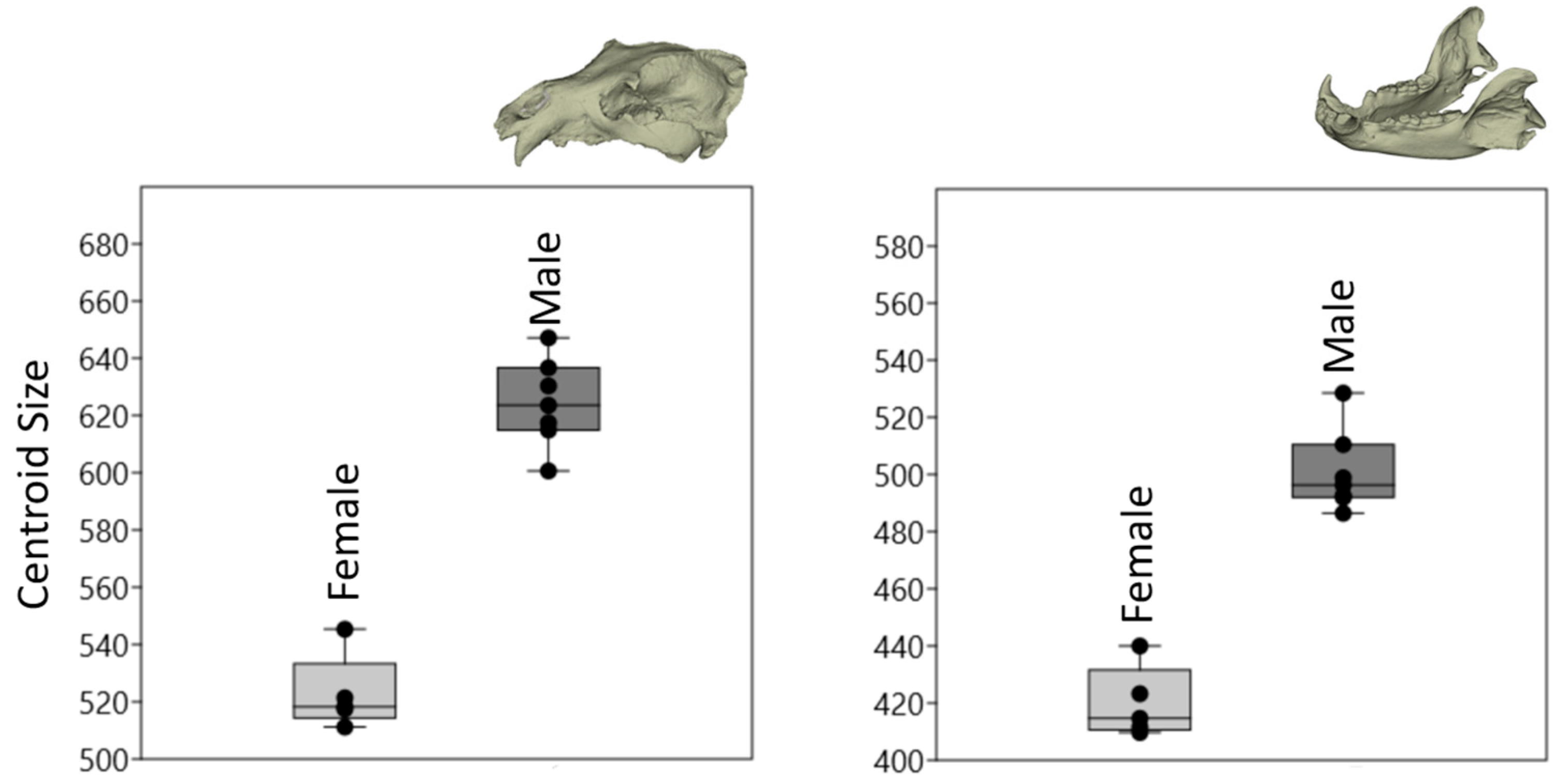 Animals 14 02541 g002