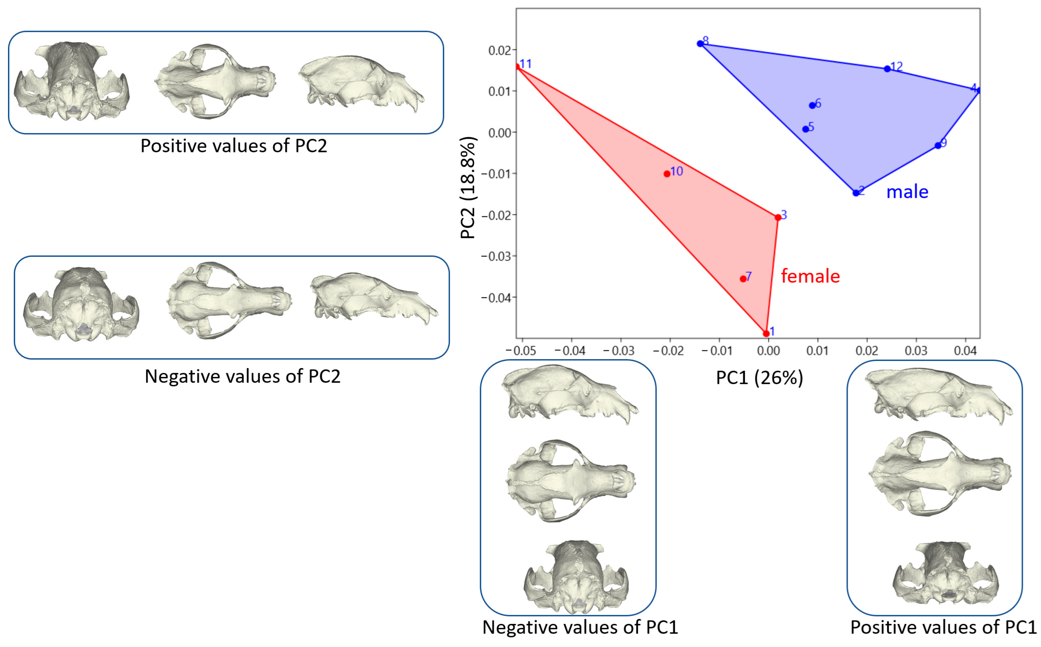 Animals 14 02541 g003