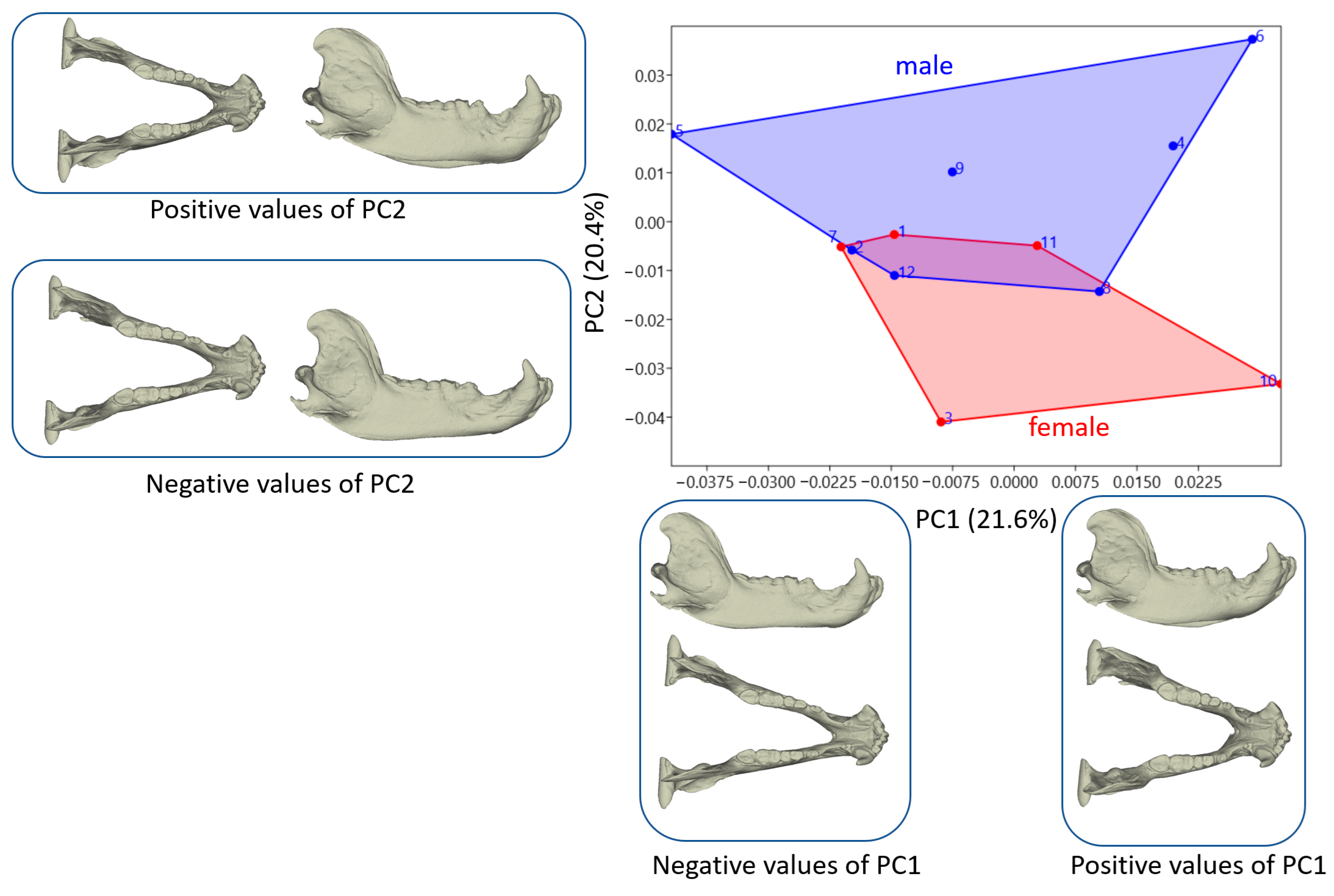 Animals 14 02541 g004