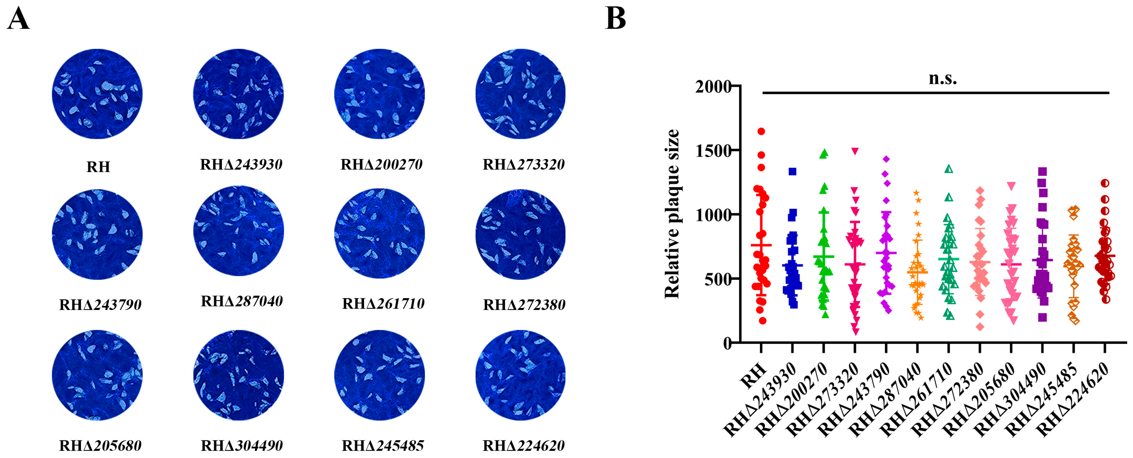 Animals 14 02543 g004