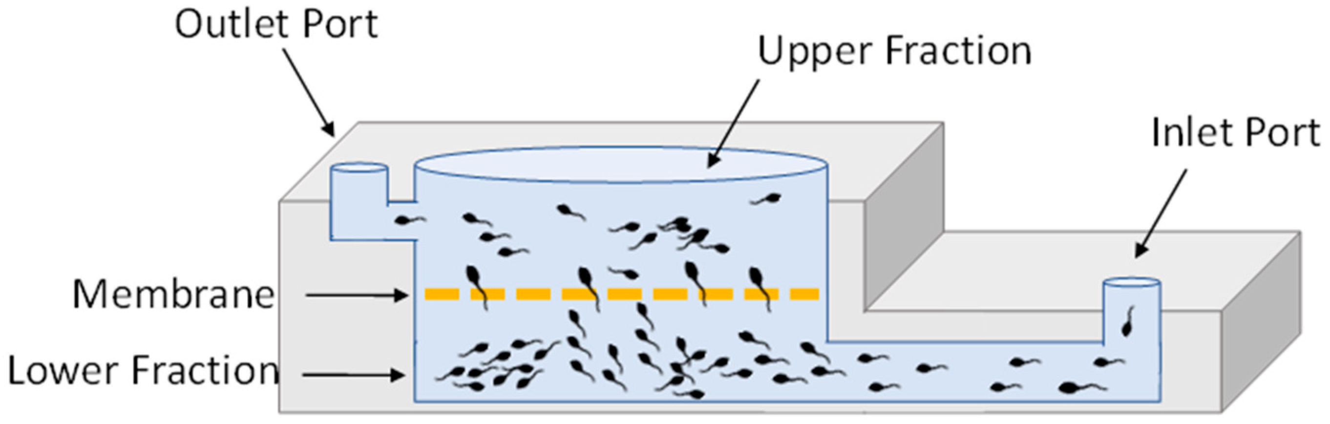 Animals 14 02544 g001 Animals 14 02544 g001