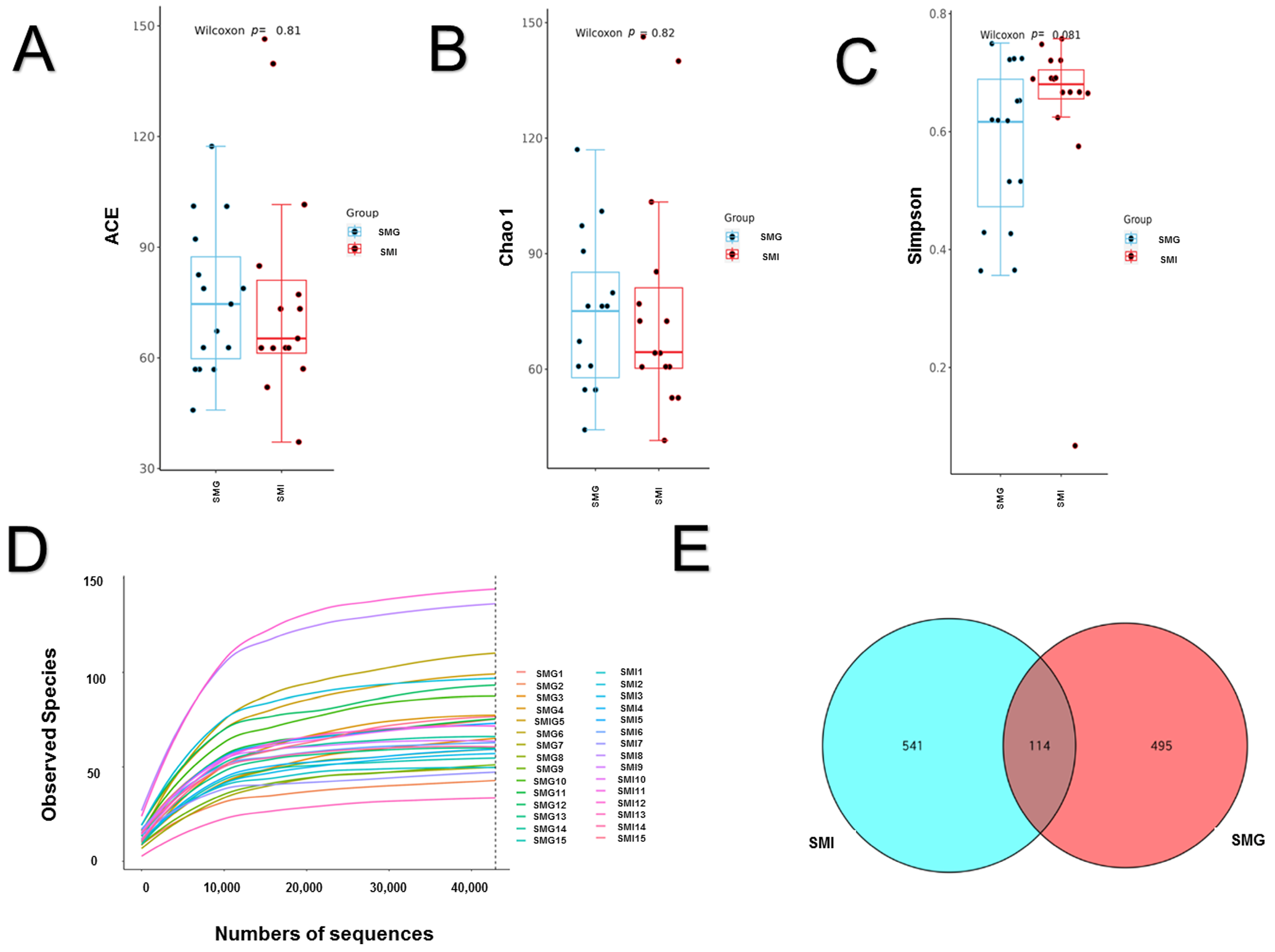 Animals 14 02545 g003