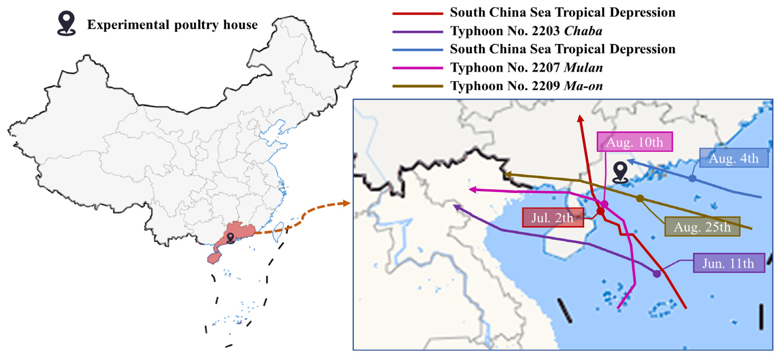 Animals 14 02554 g004