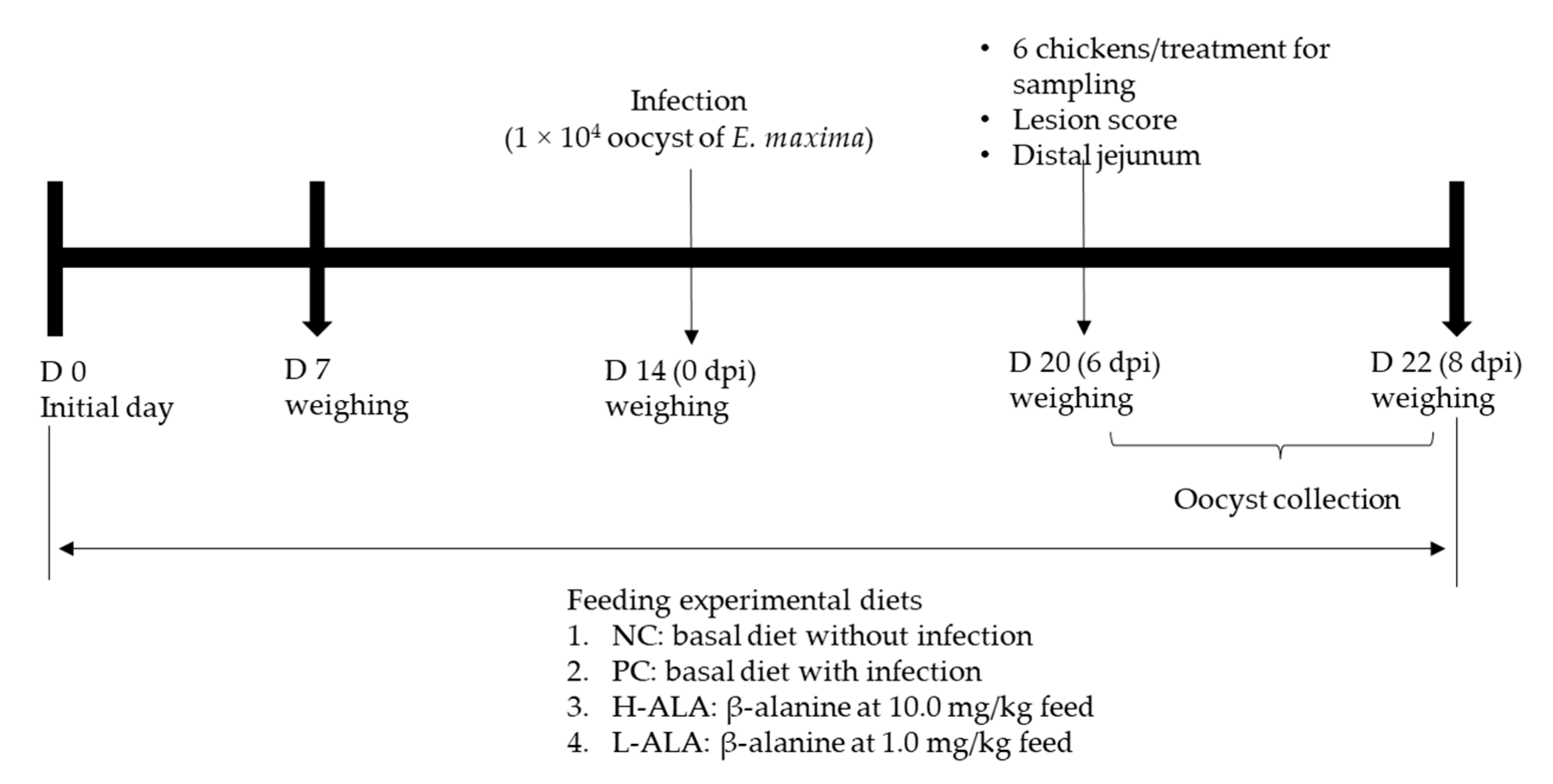 Animals 14 02558 g001 Animals 14 02558 g001
