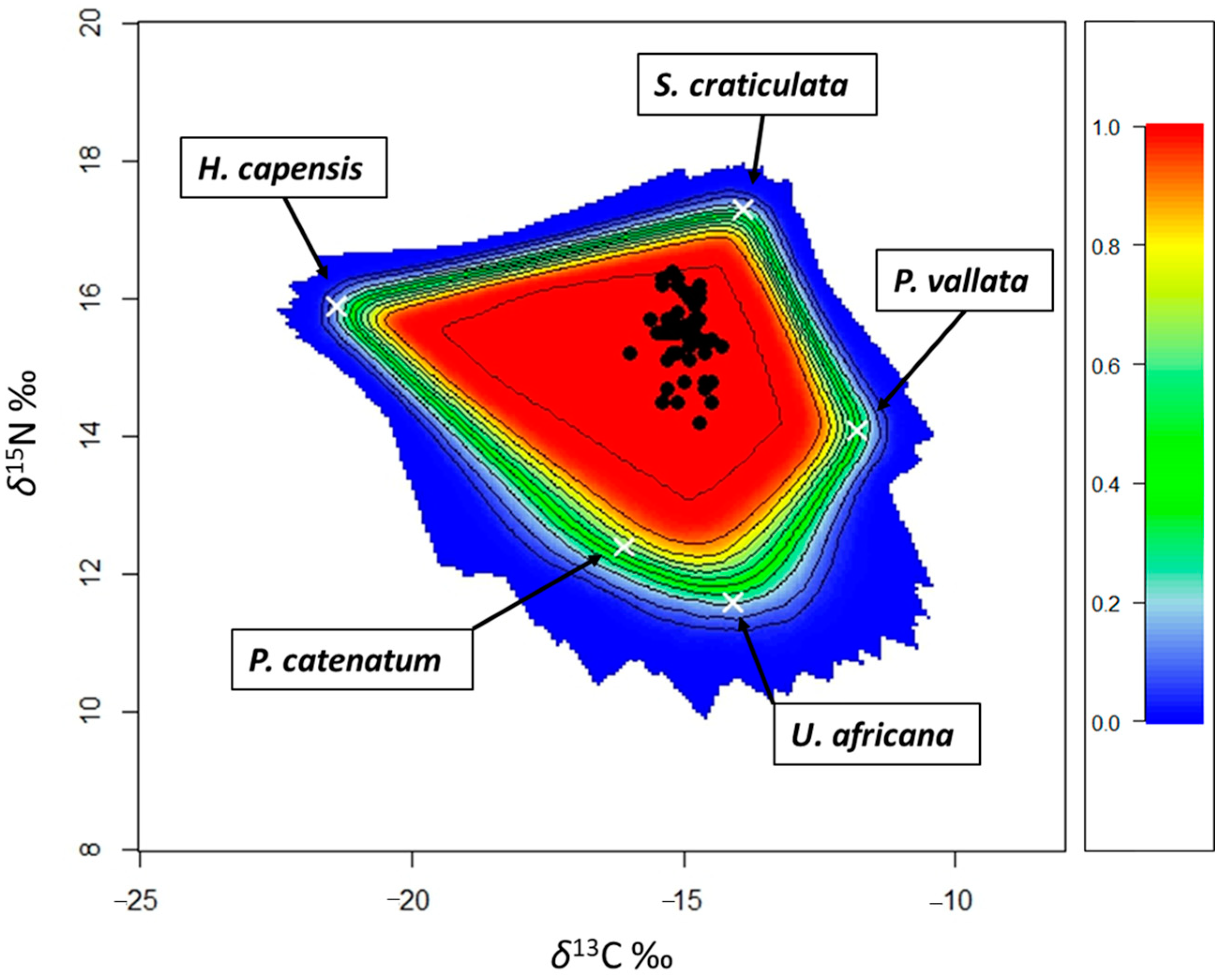 Animals 14 02559 g002