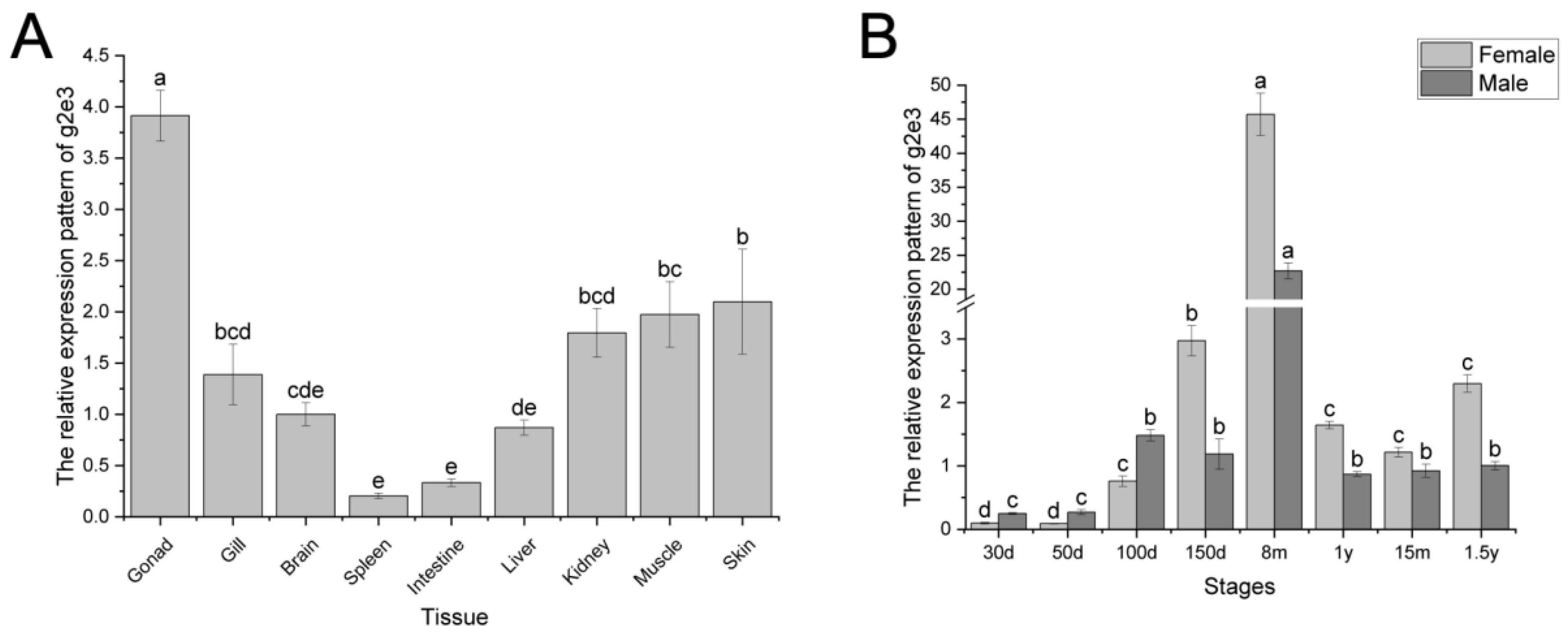 Animals 14 02579 g002