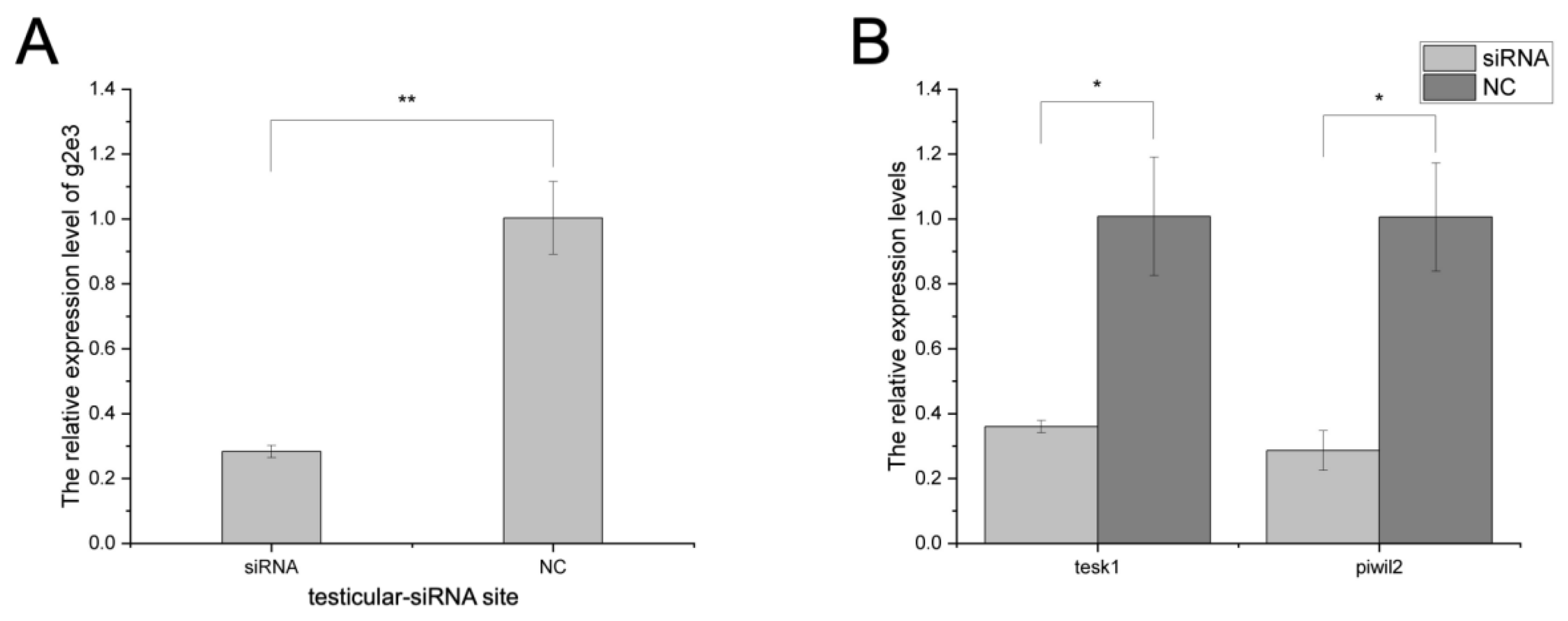 Animals 14 02579 g005