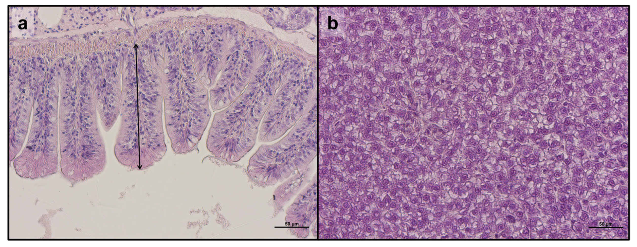 Animals 14 02588 g003