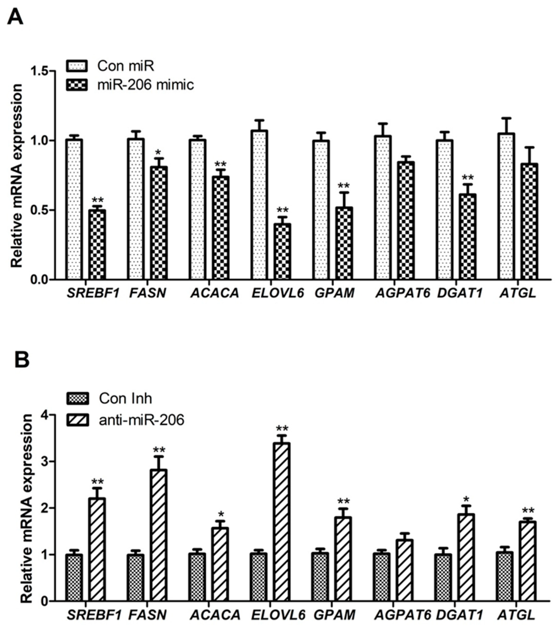 Animals 14 02590 g002