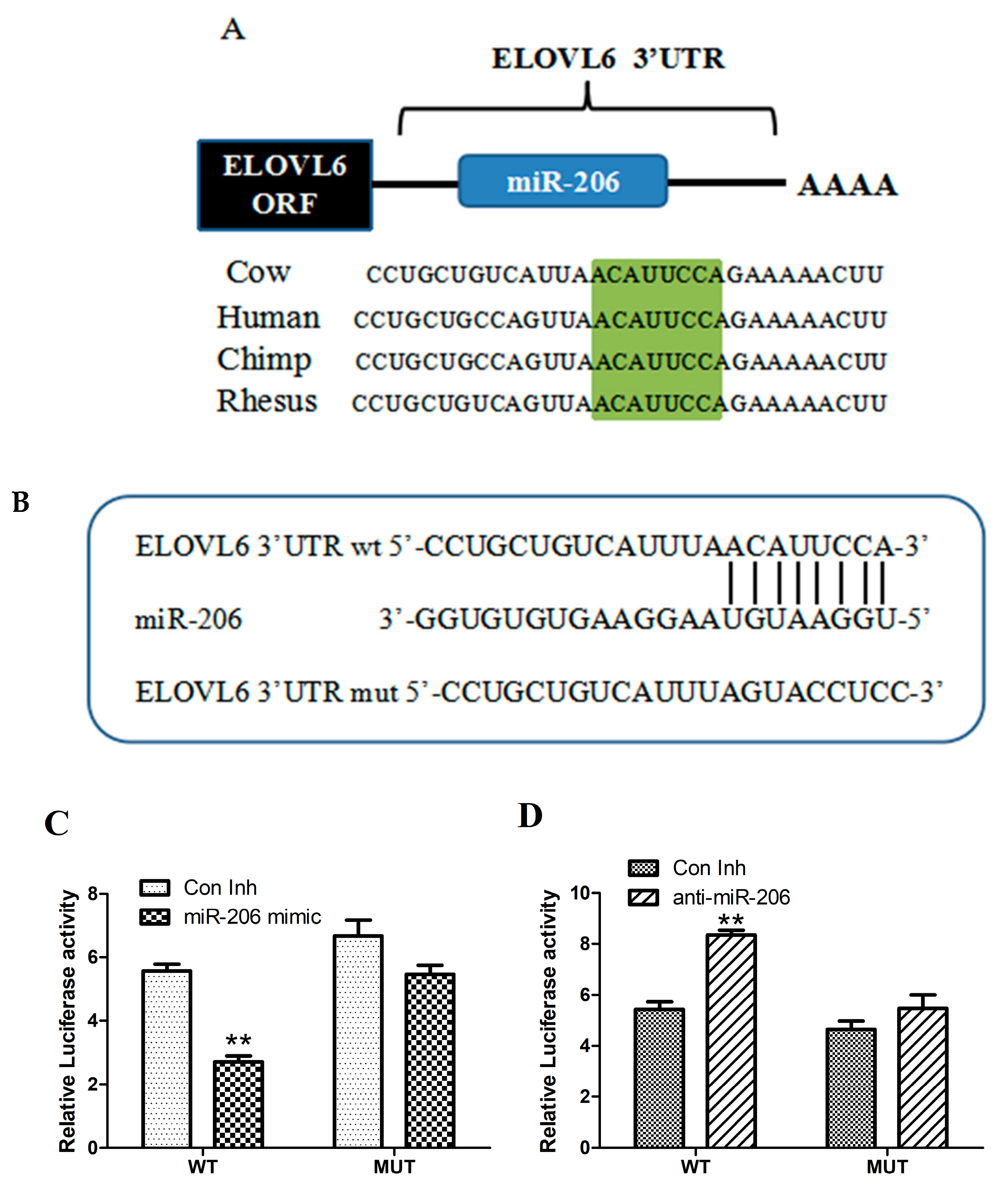 Animals 14 02590 g003