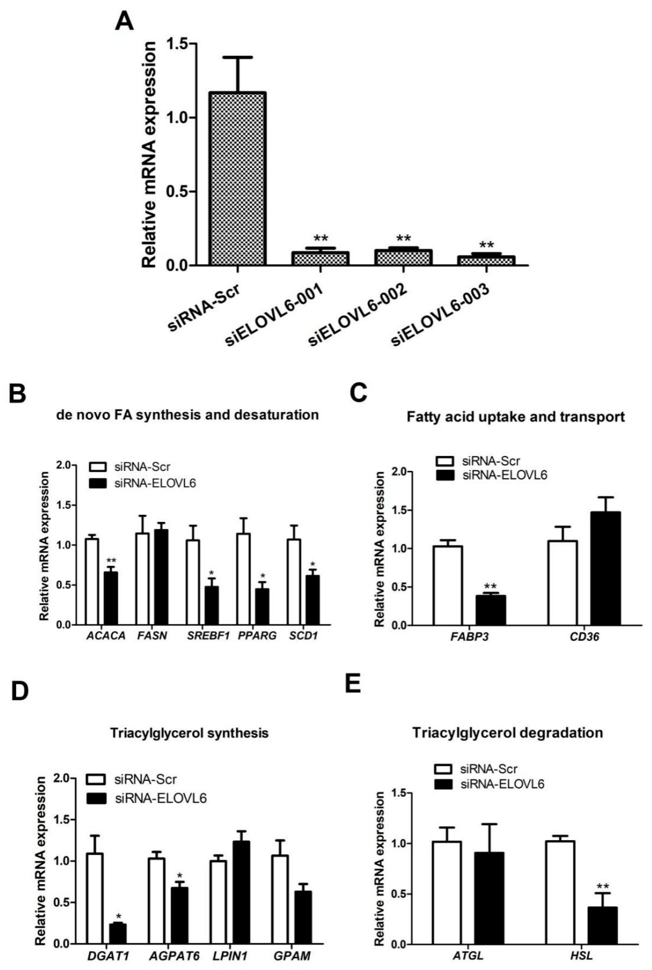 Animals 14 02590 g004