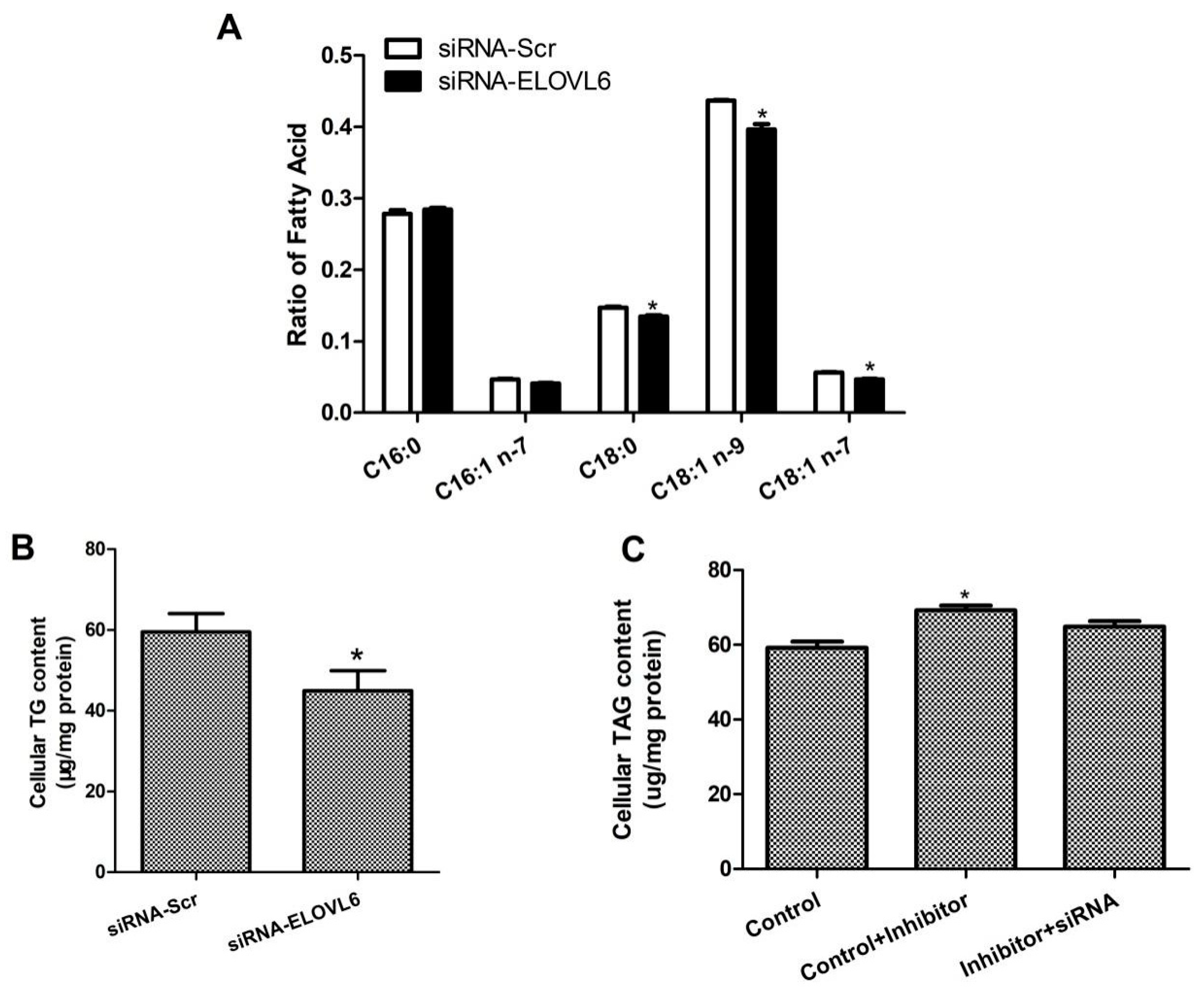 Animals 14 02590 g006