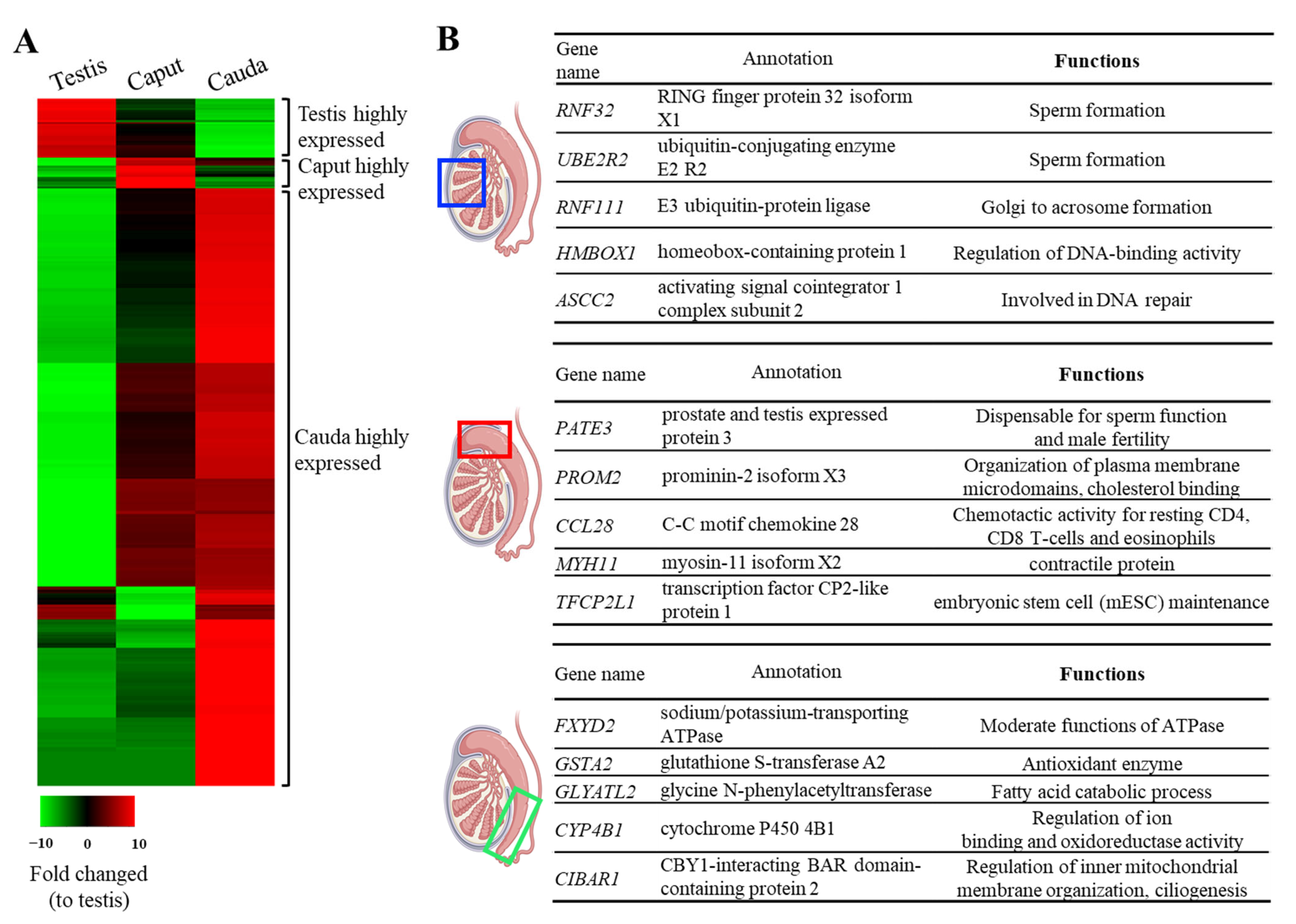 Animals 14 02592 g002