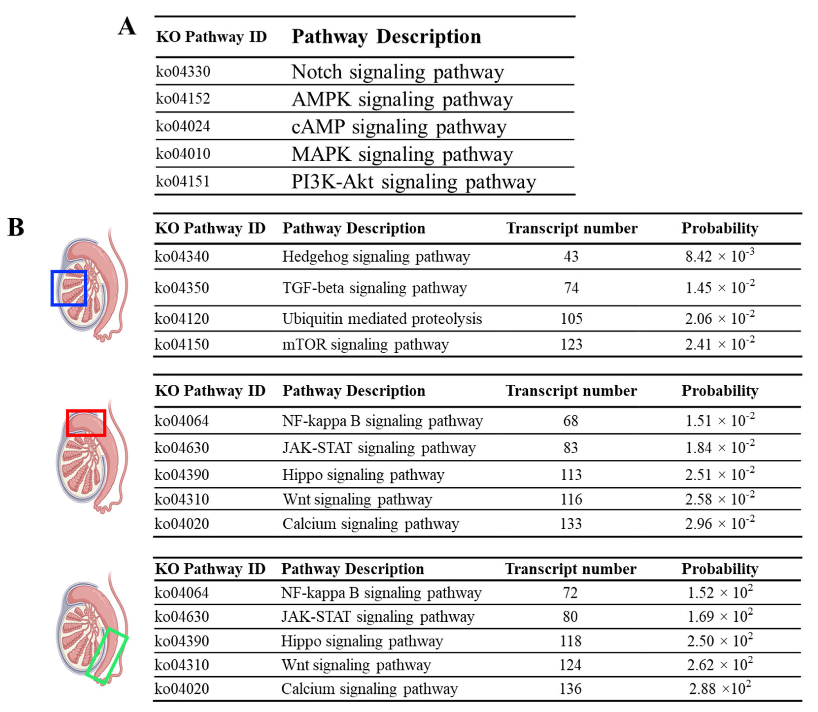 Animals 14 02592 g003
