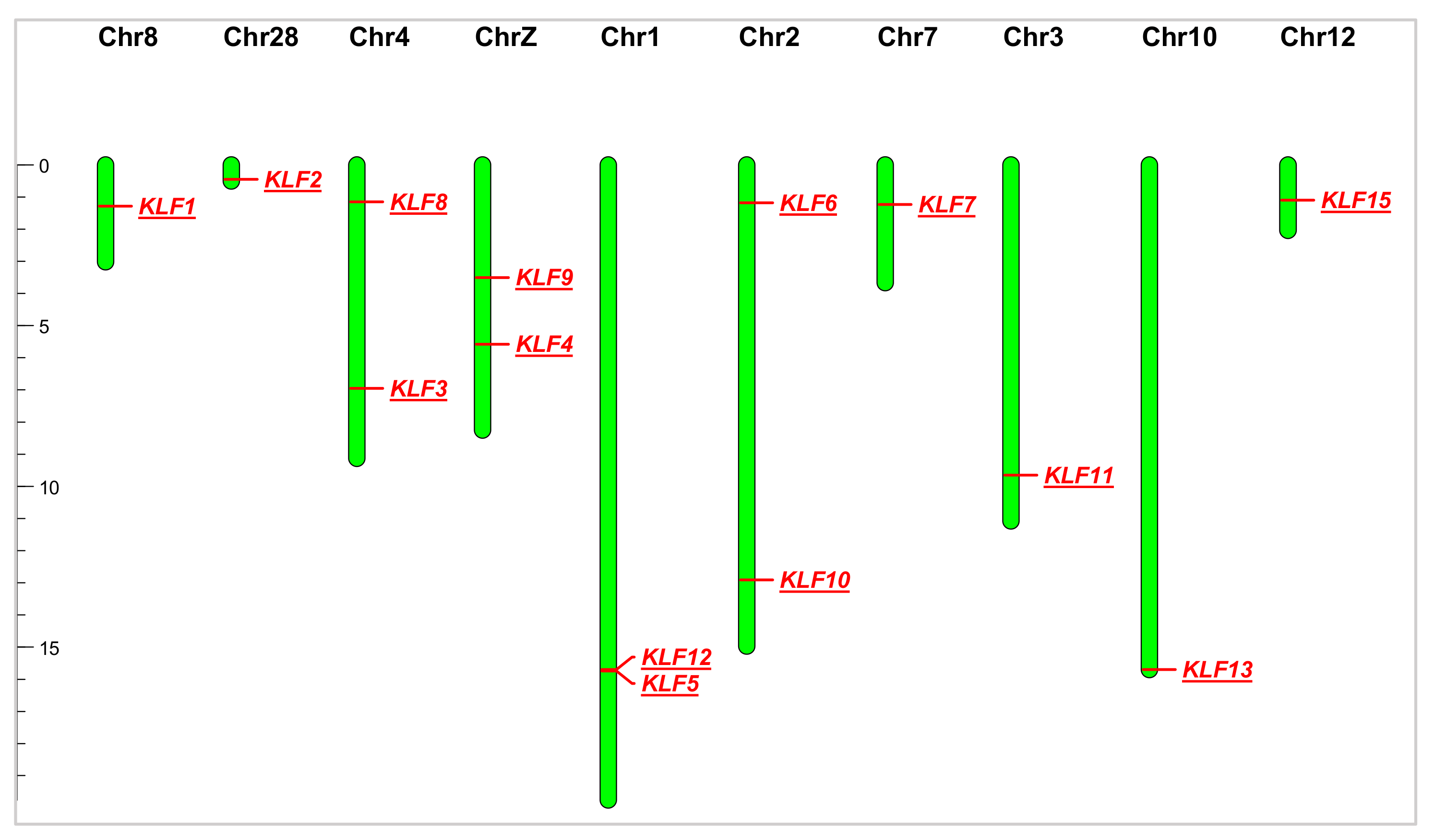 Animals 14 02594 g001