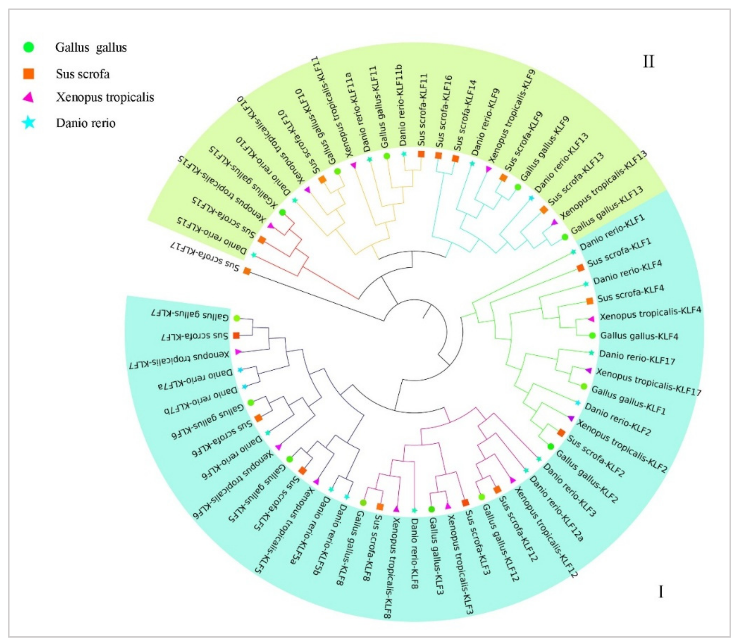 Animals 14 02594 g002