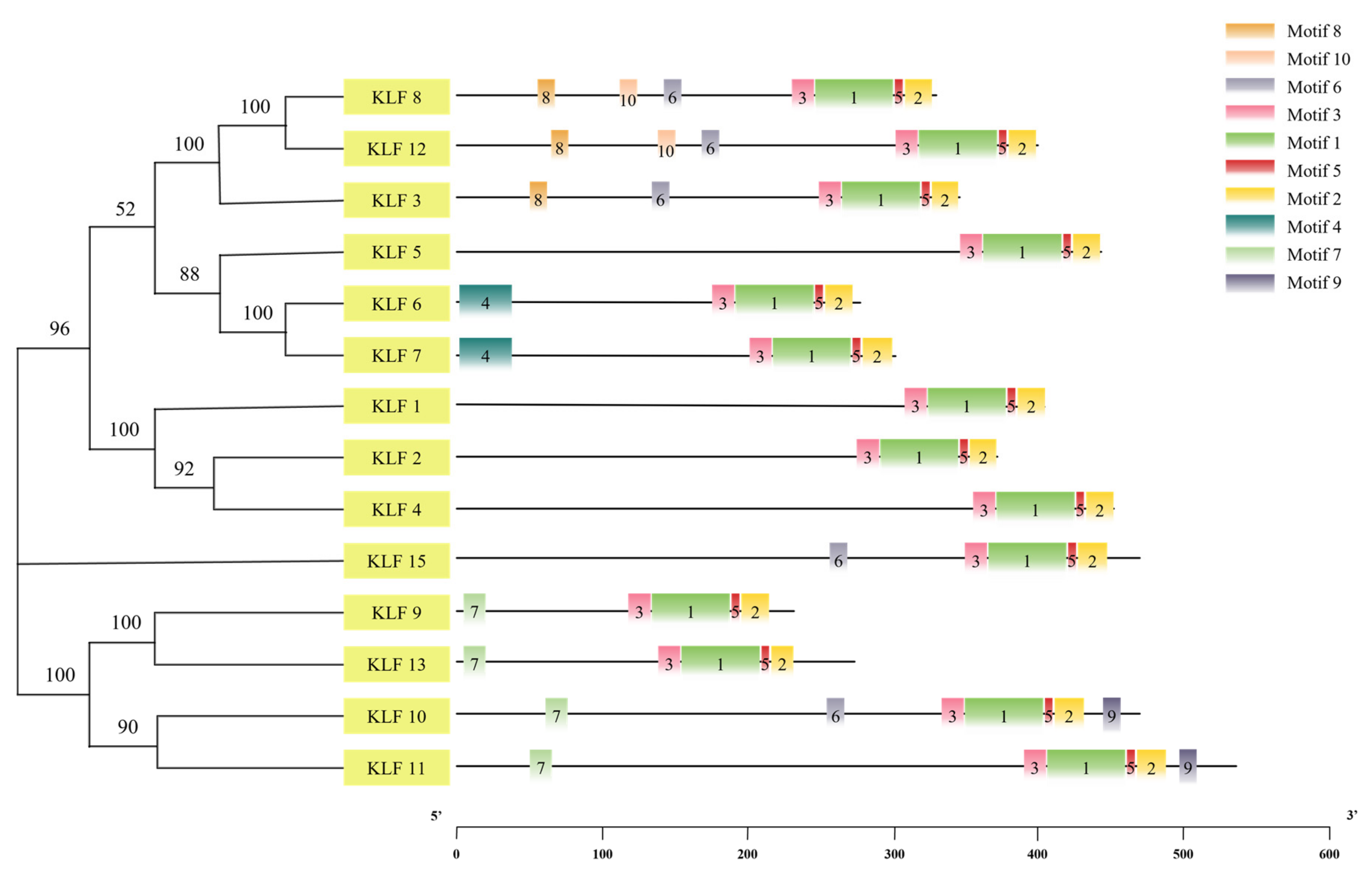 Animals 14 02594 g004