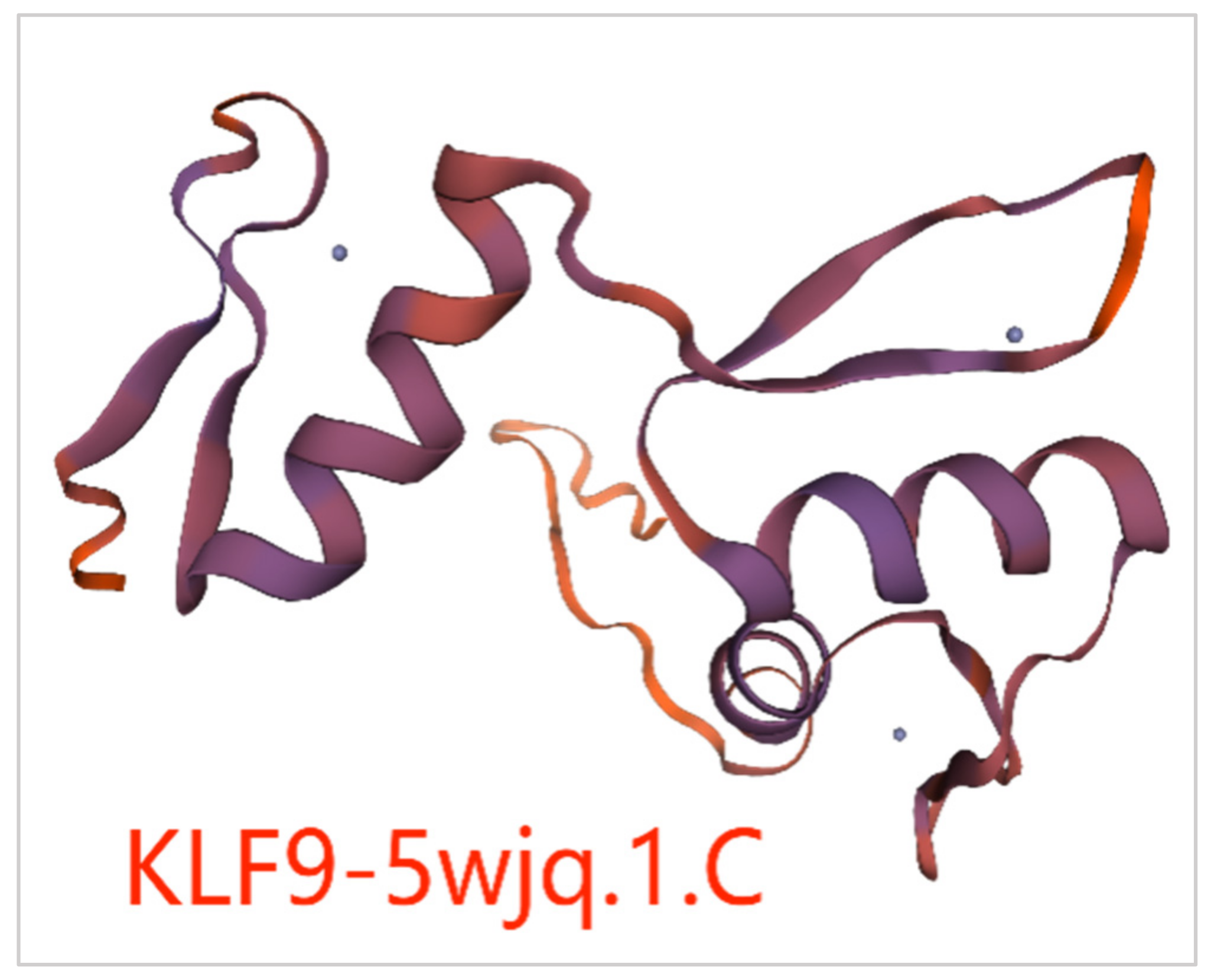 Animals 14 02594 g006