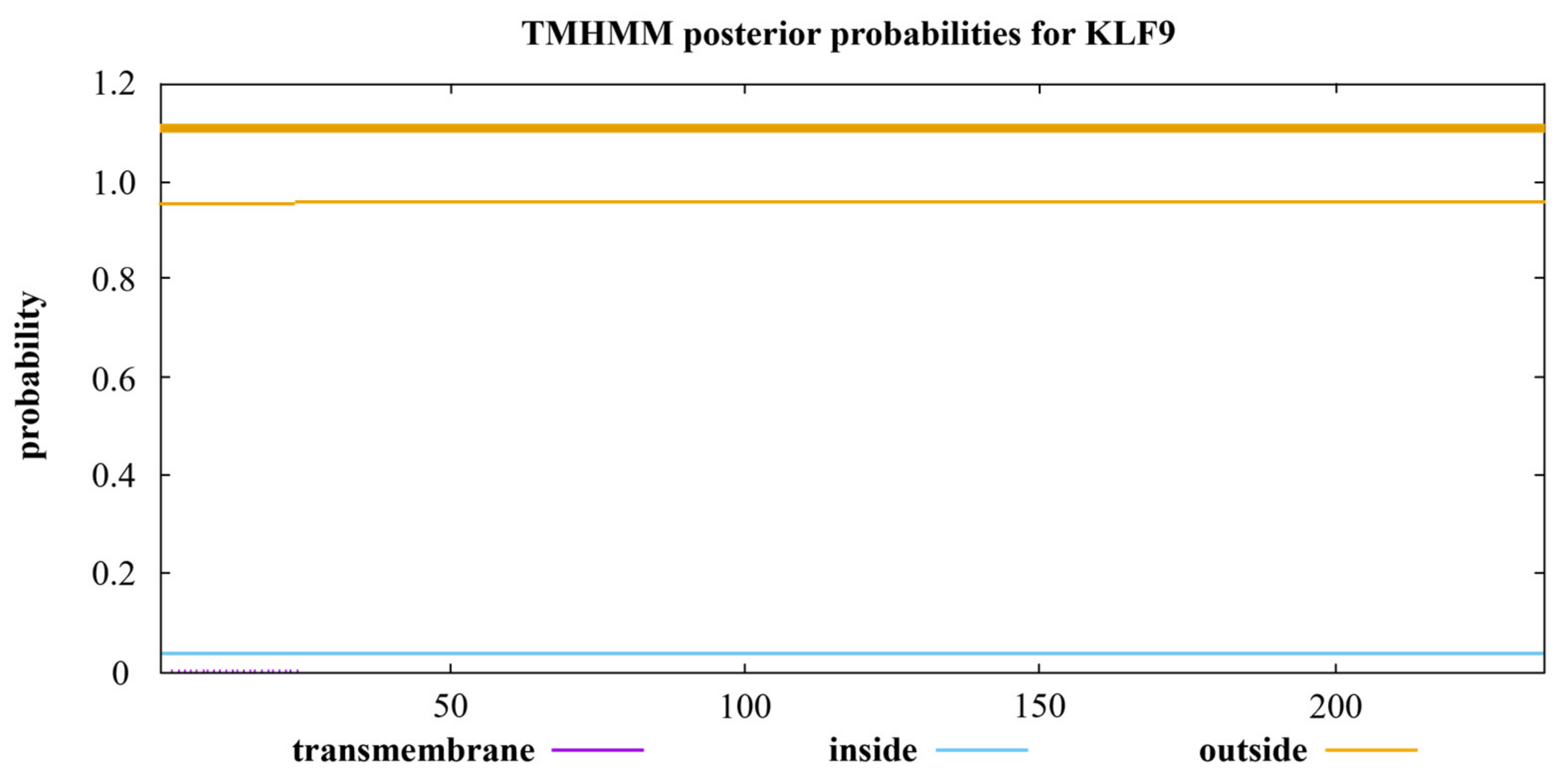 Animals 14 02594 g007