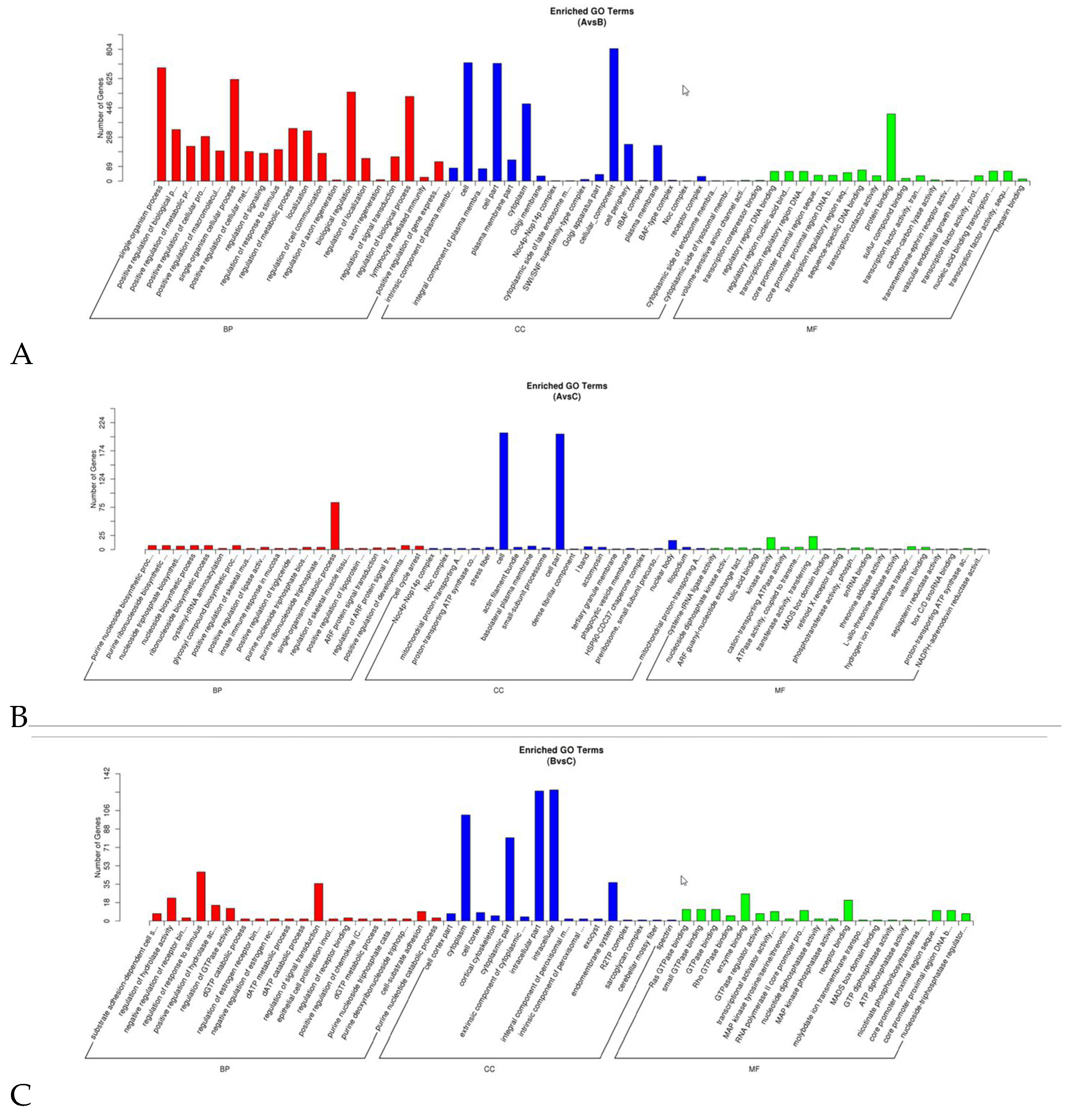 Animals 14 02600 g005