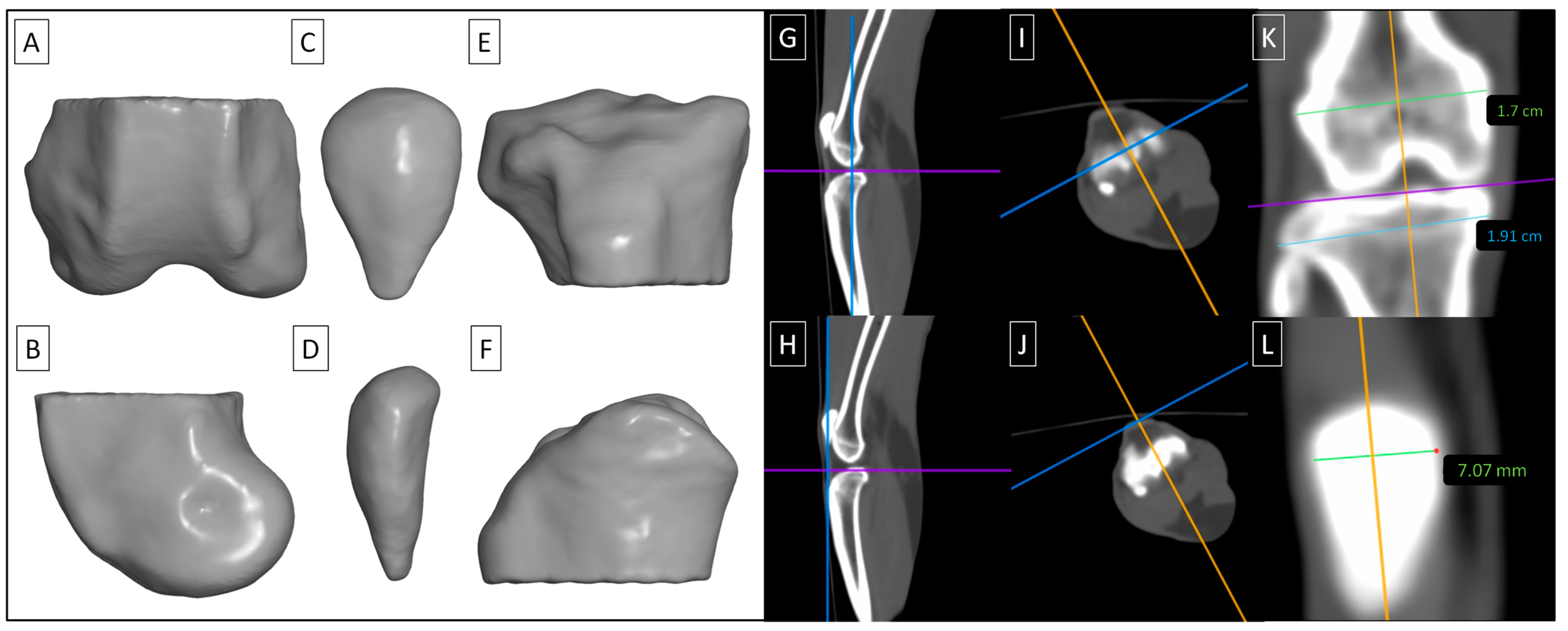 Animals 14 02615 g003