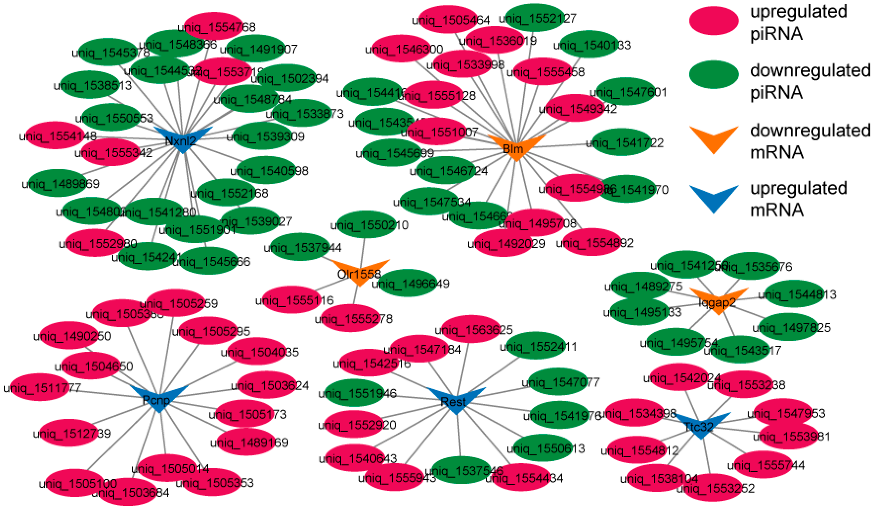 Animals 14 02620 g005