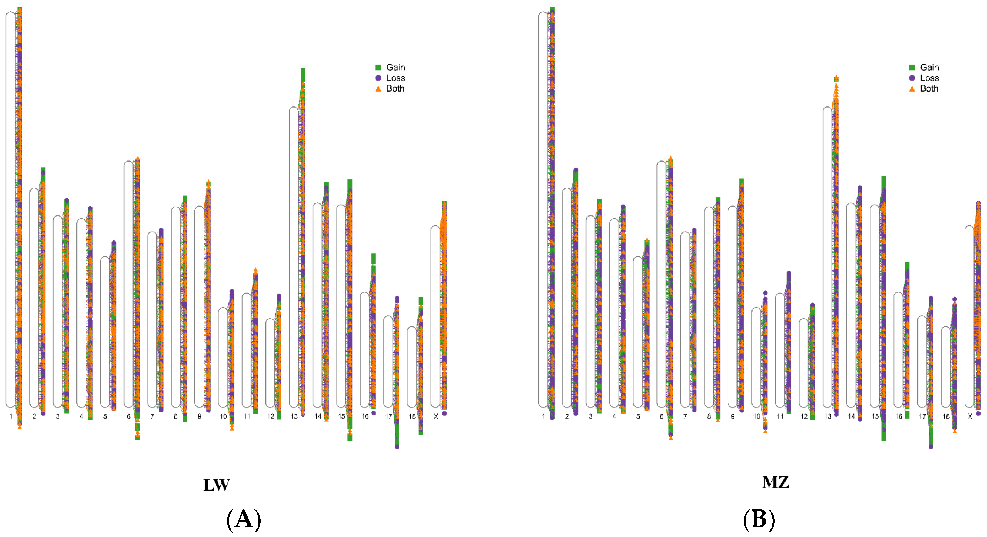 Animals 14 02657 g002