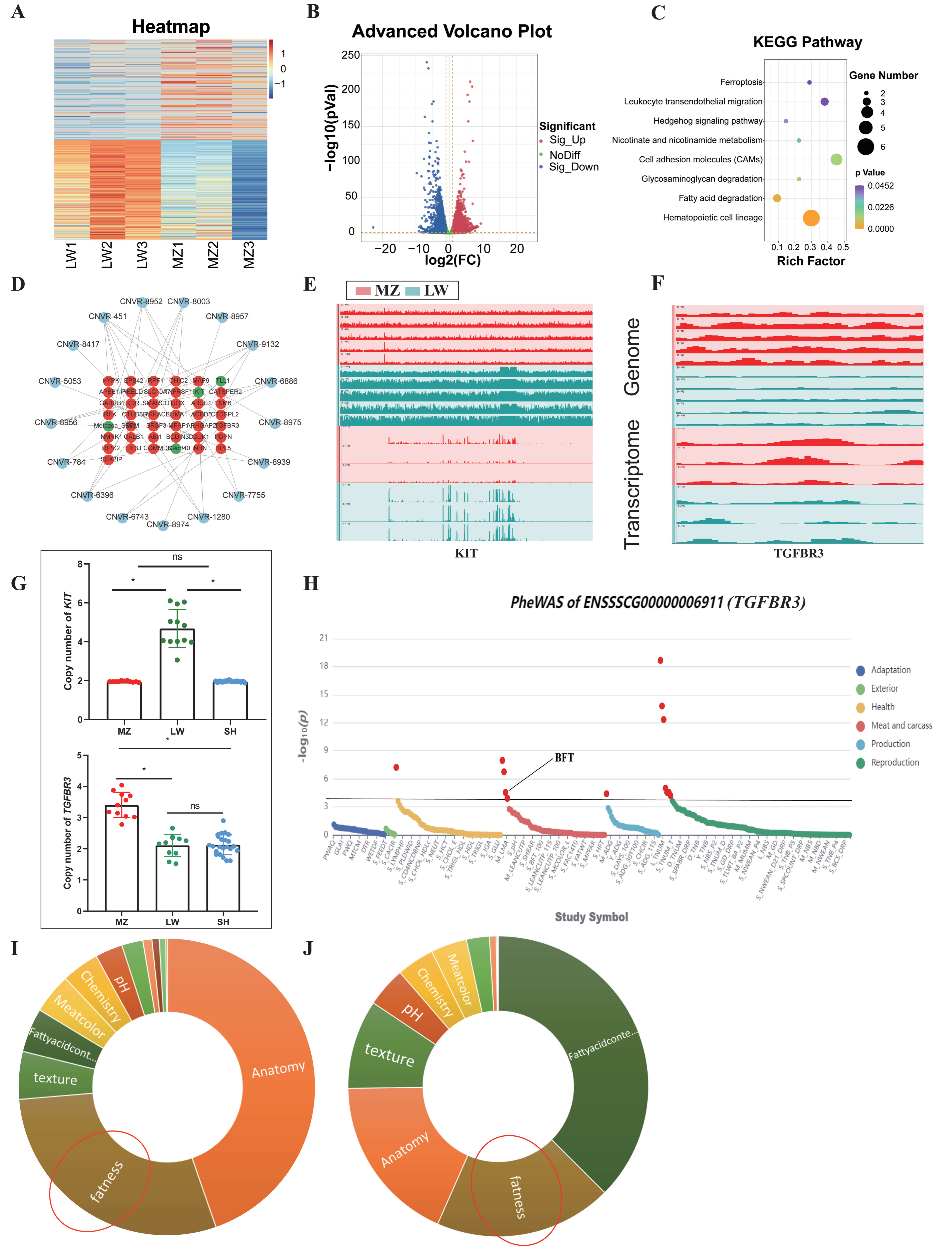Animals 14 02657 g005